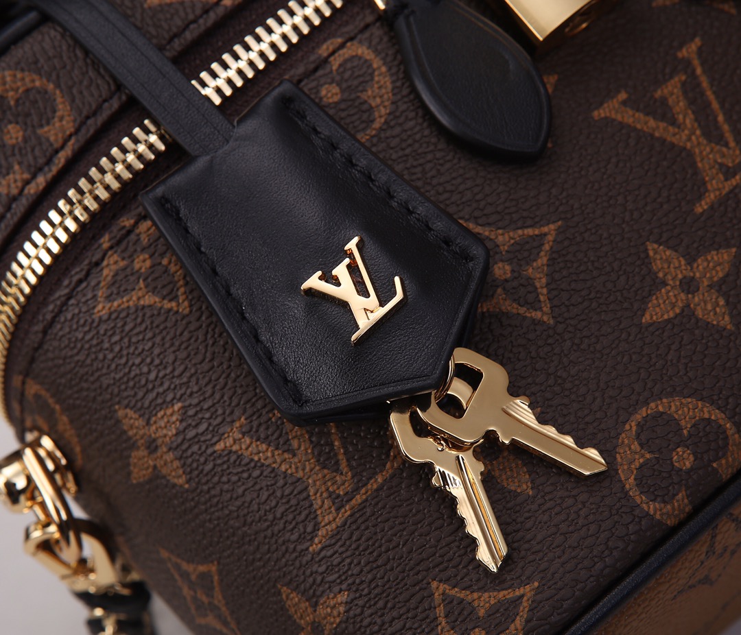 Louis Vuitton Vanity Monogram Reverse Pm Brown 5419