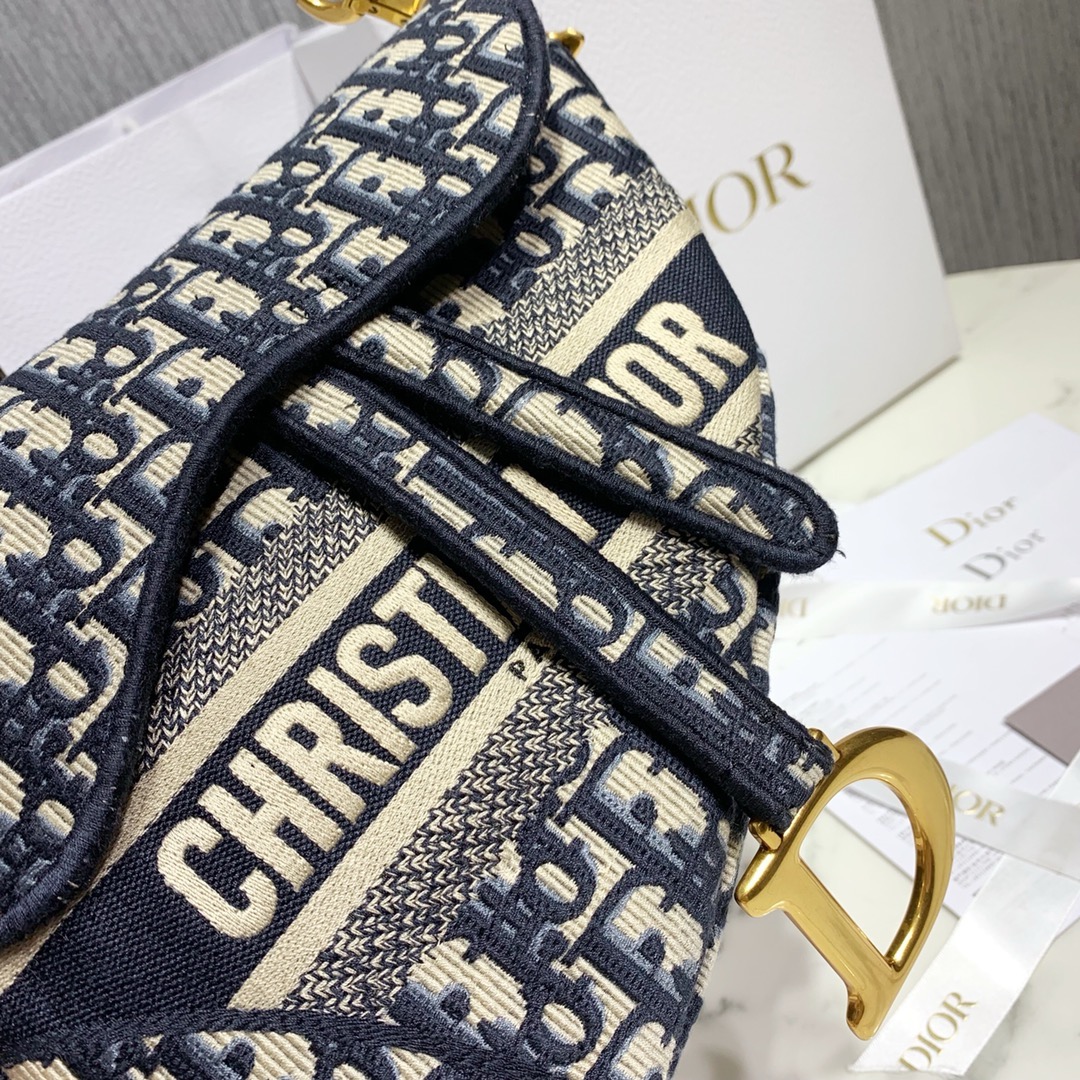 Dior SADDLE Bag Blue Dior Oblique Embroidered Velvet