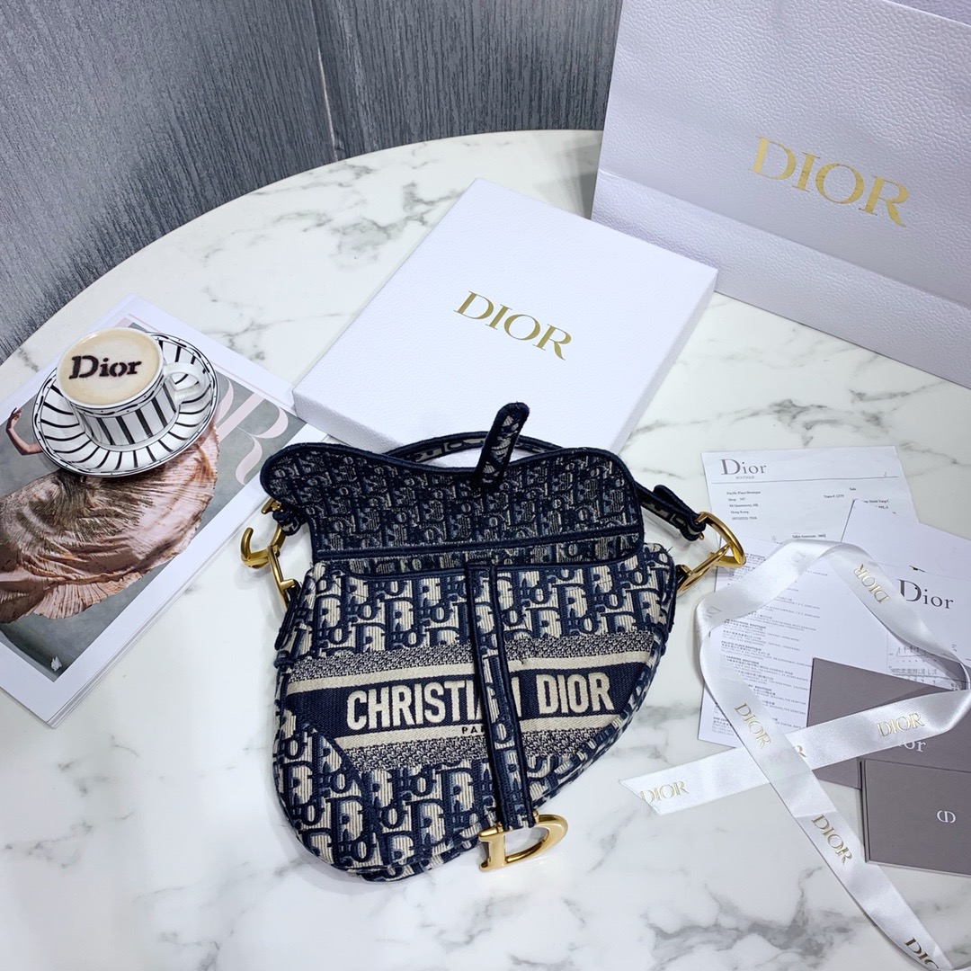 Dior SADDLE Bag Blue Dior Oblique Embroidered Velvet