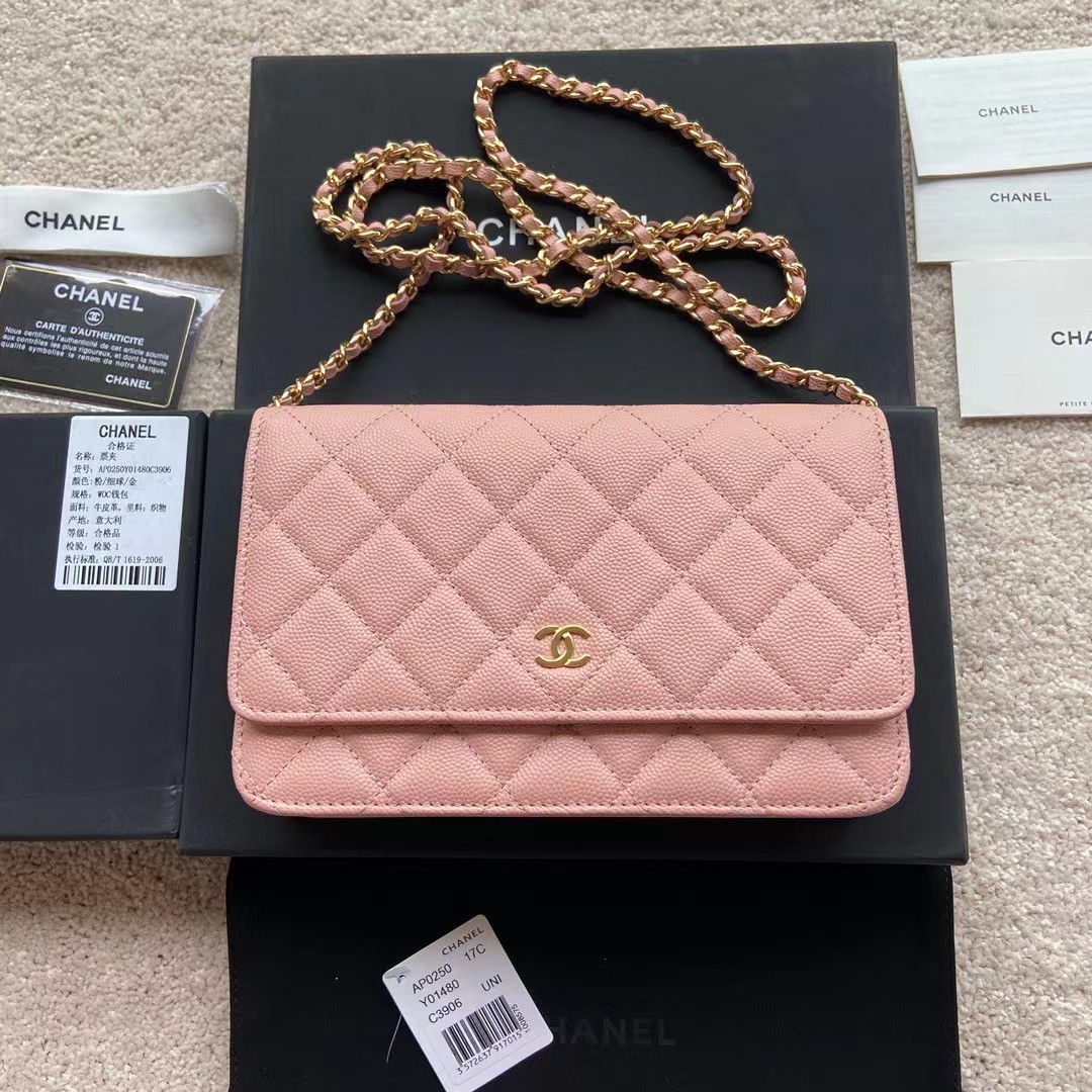 Chanel Classic Wallet On Chain Handbags - Bag - Gorchic