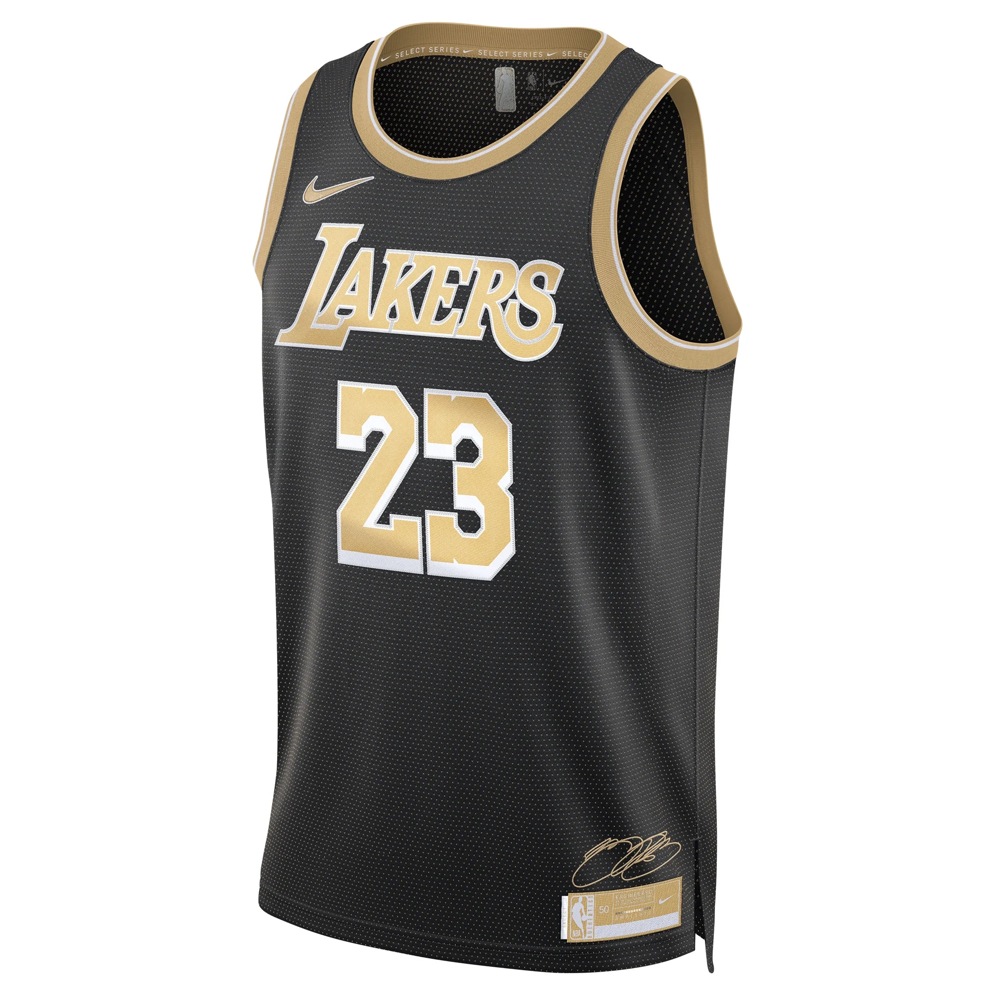 Unisex Nike LeBron James Black Los Angeles Lakers Select Series Swingman Jersey