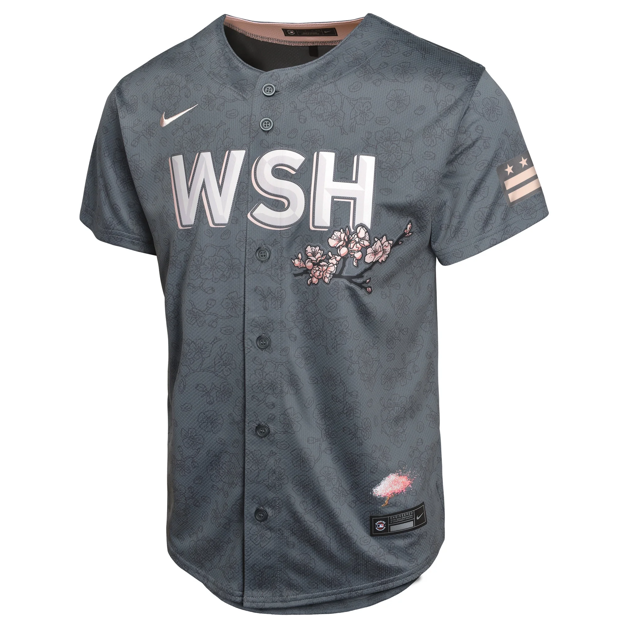 Youth Nike Charcoal Washington Nationals City Connect Limited Jersey
