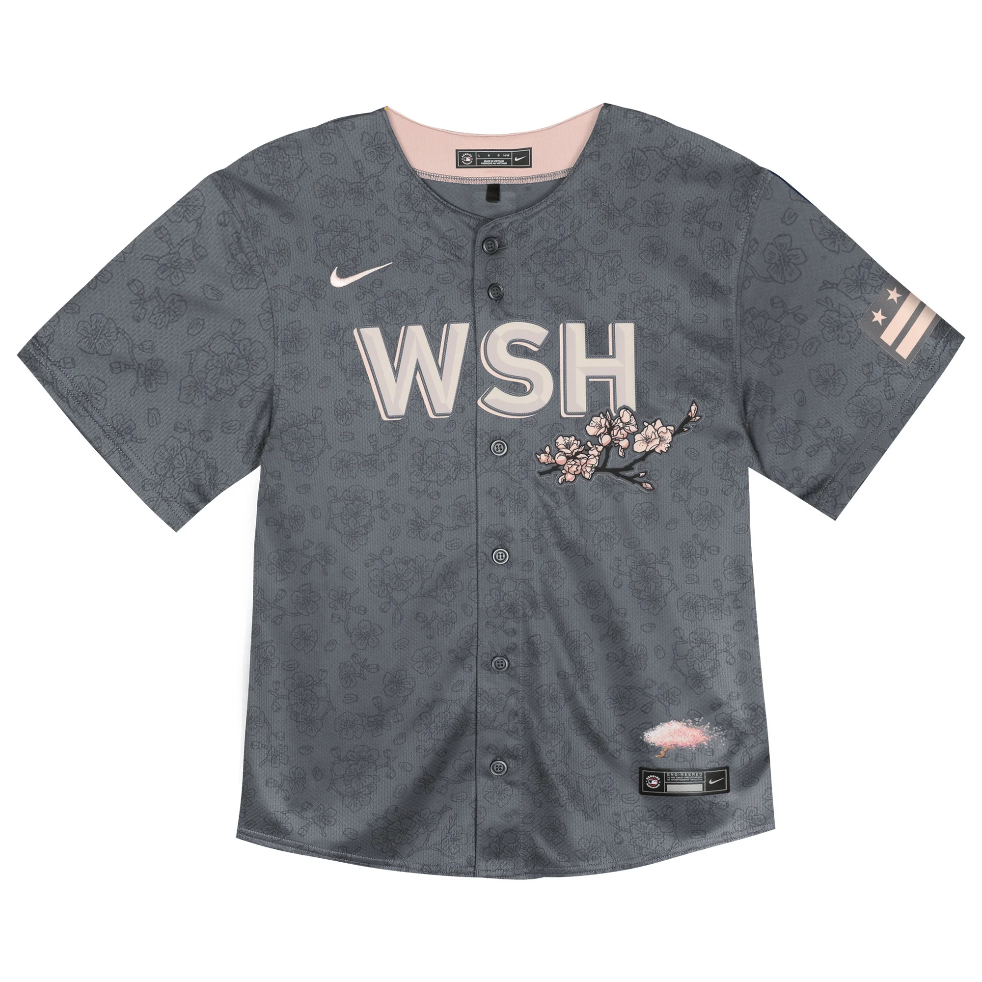 Toddler Nike Charcoal Washington Nationals City Connect Limited Jersey