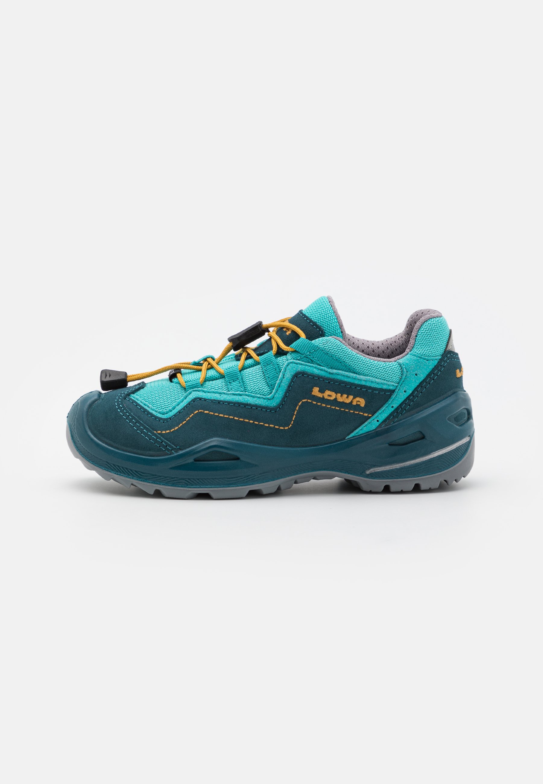 ROBIN EVO GTX UNISEX - Hiking shoes