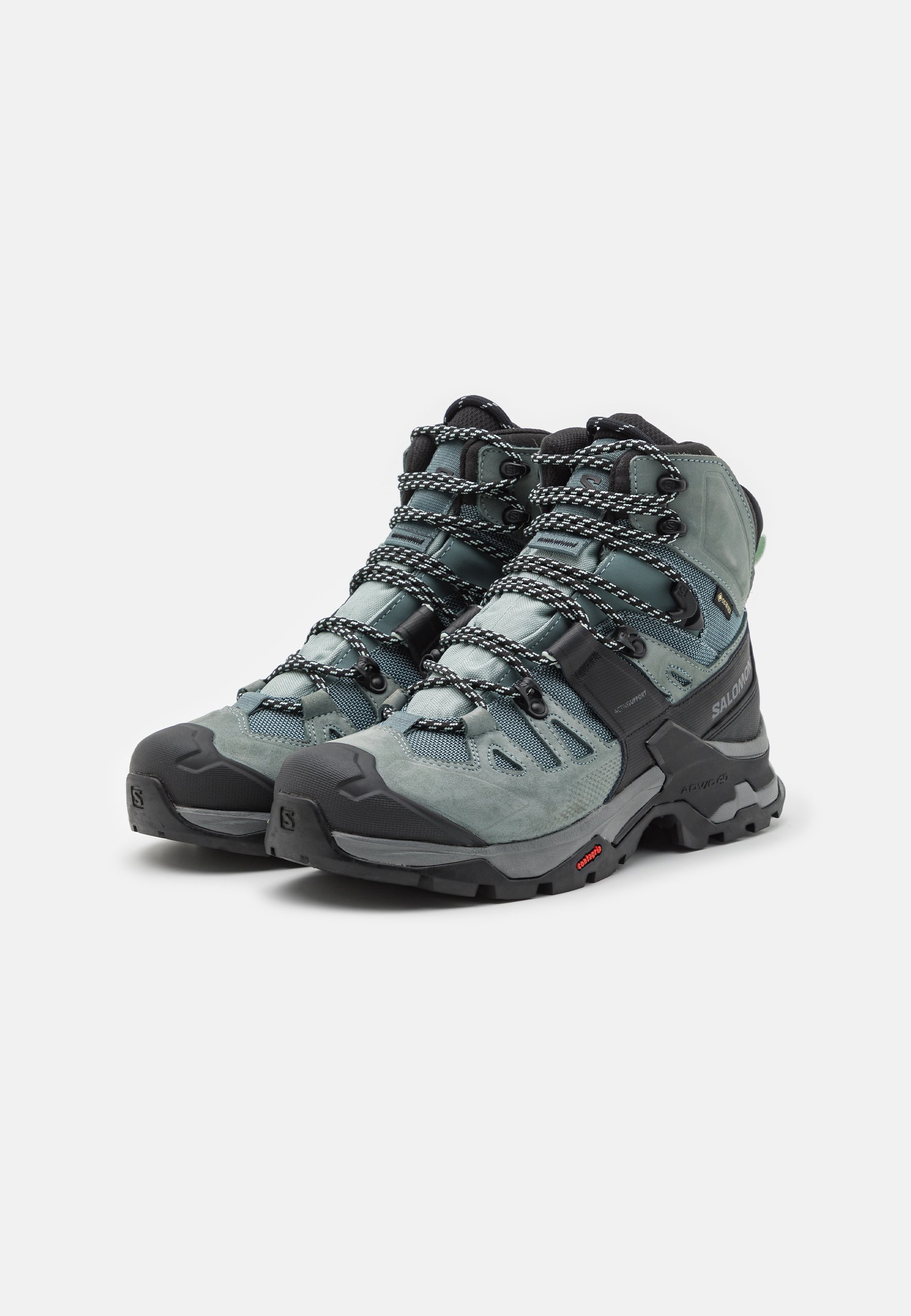 QUEST 4 GTX - Hiking shoes