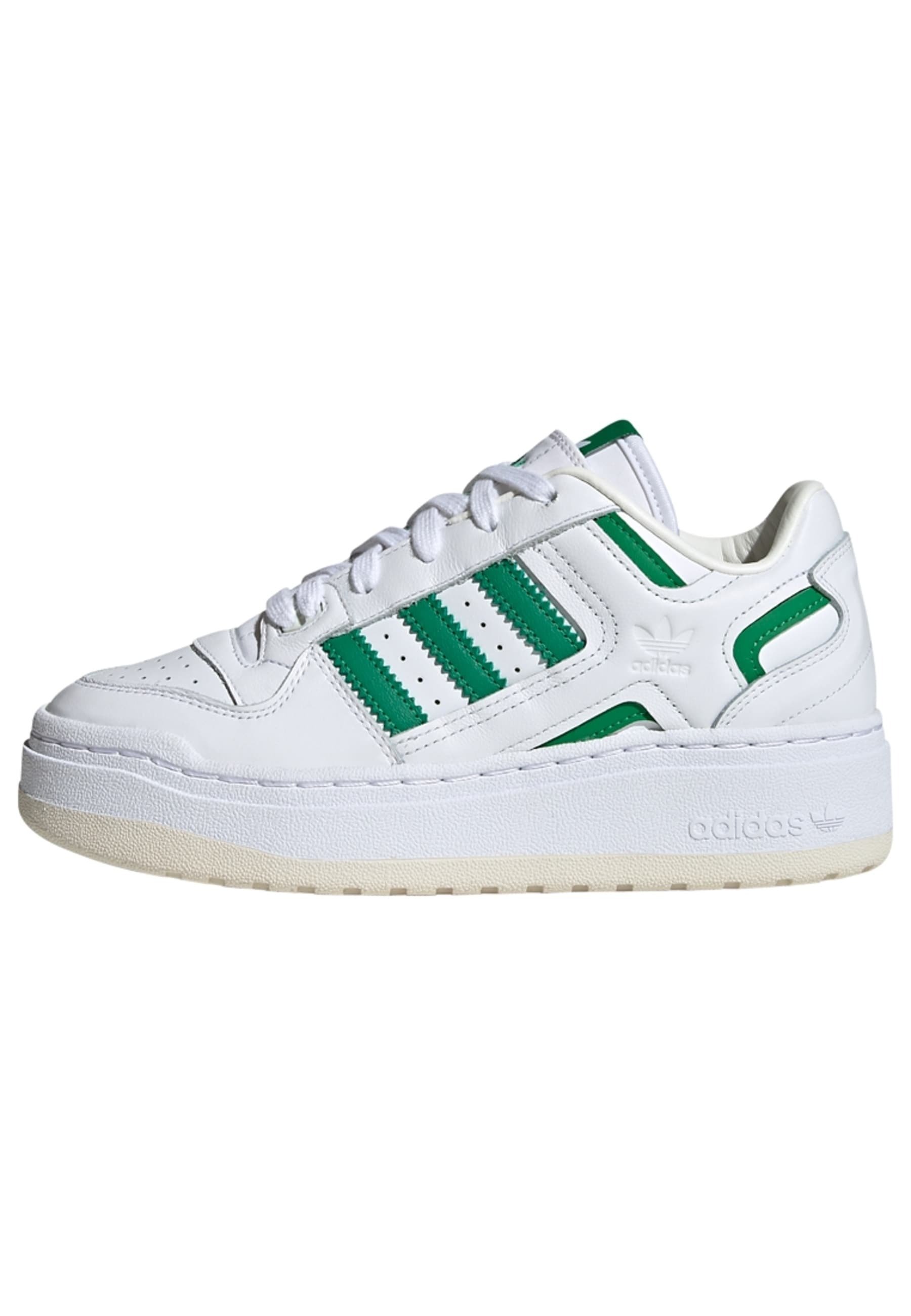 FORUM XLG - Trainers