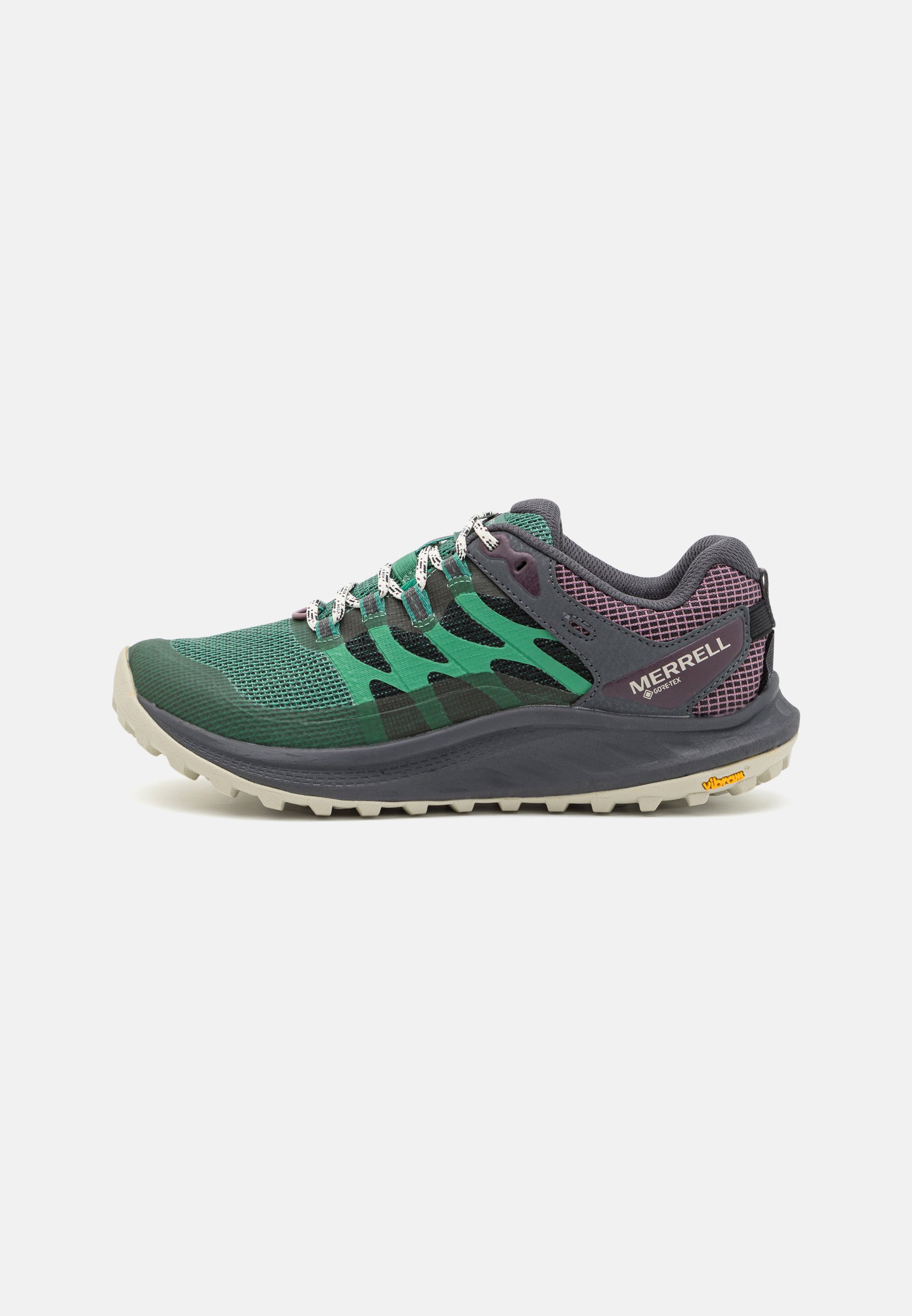 ANTORA 3 GTX - Hiking shoes