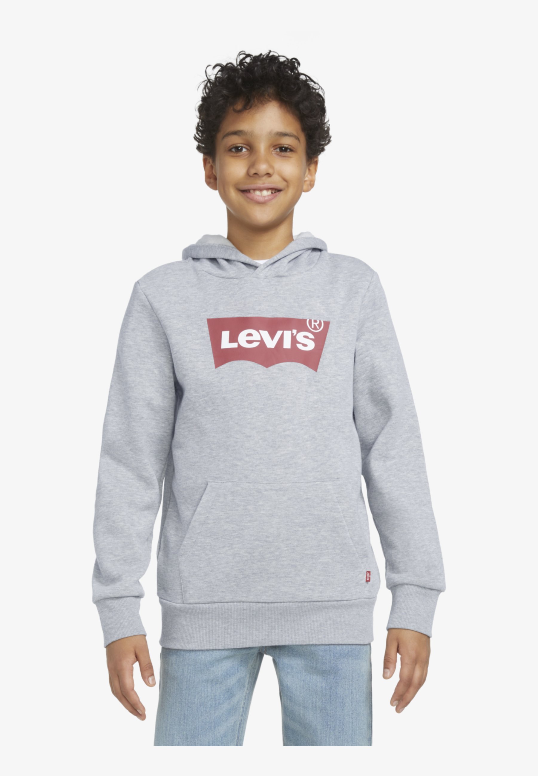 BATWING SCREENPRINT HOODIE - Hoodie