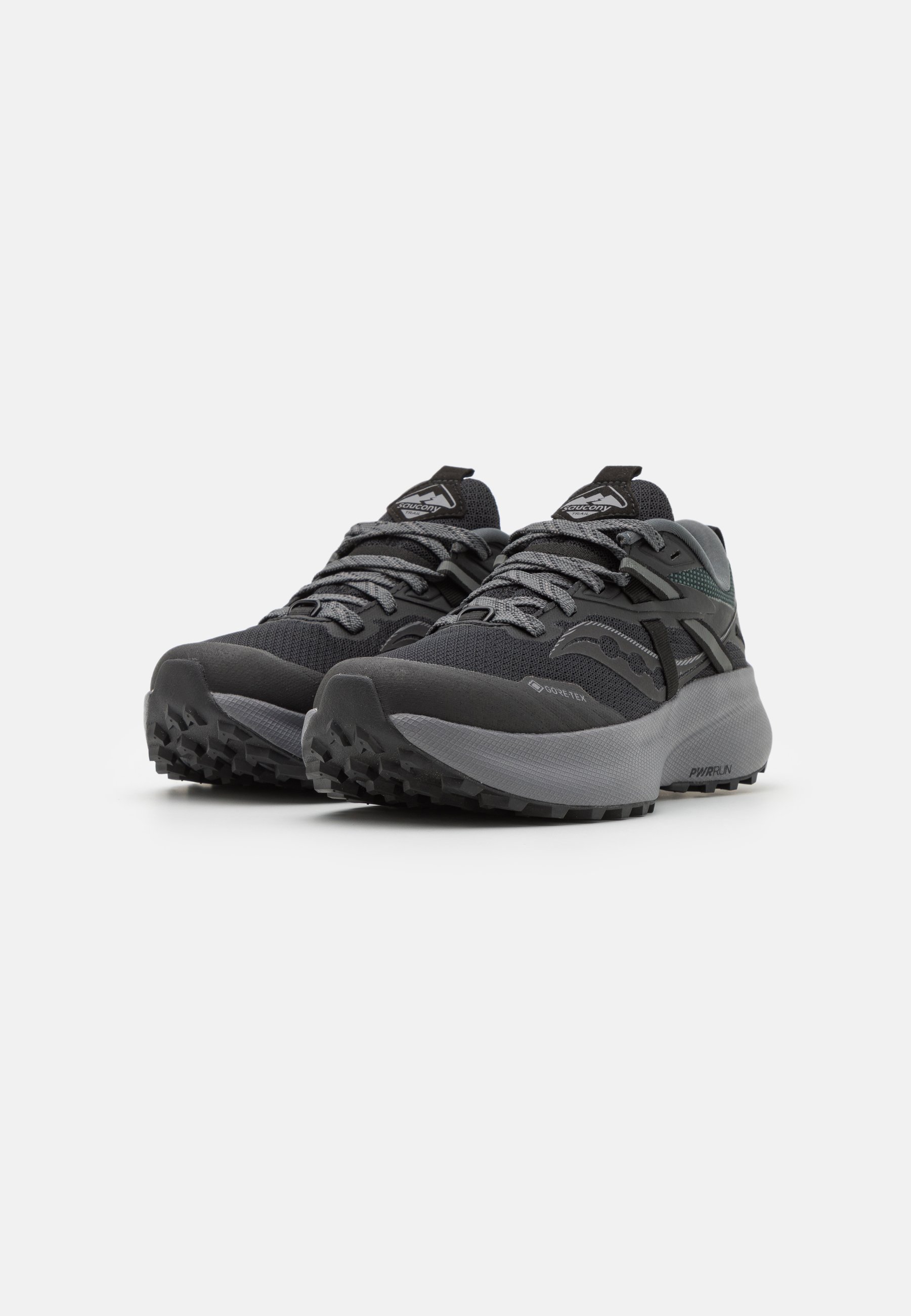 RIDE 15 TR GTX - Trail running shoes