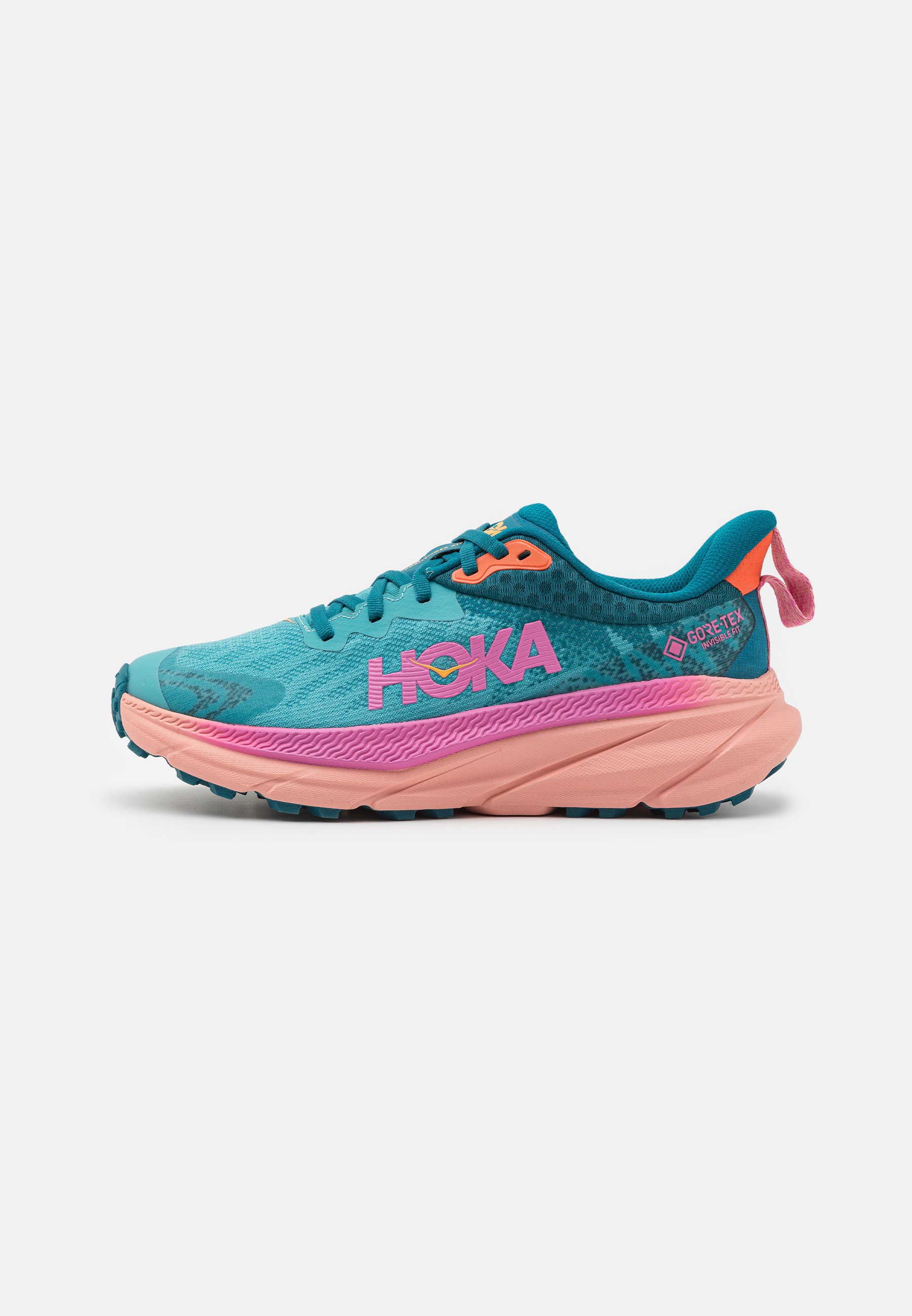 CHALLENGER 7 GTX - Trail running shoes