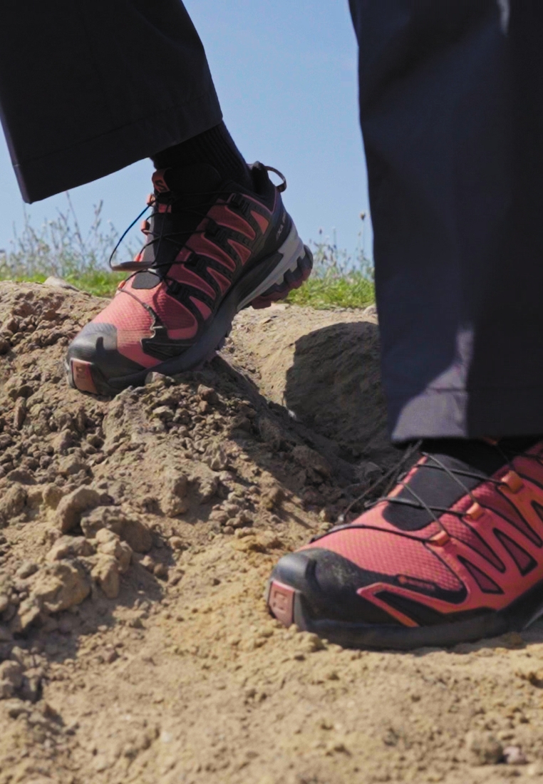 XA PRO 3D V9 GTX - Hiking shoes