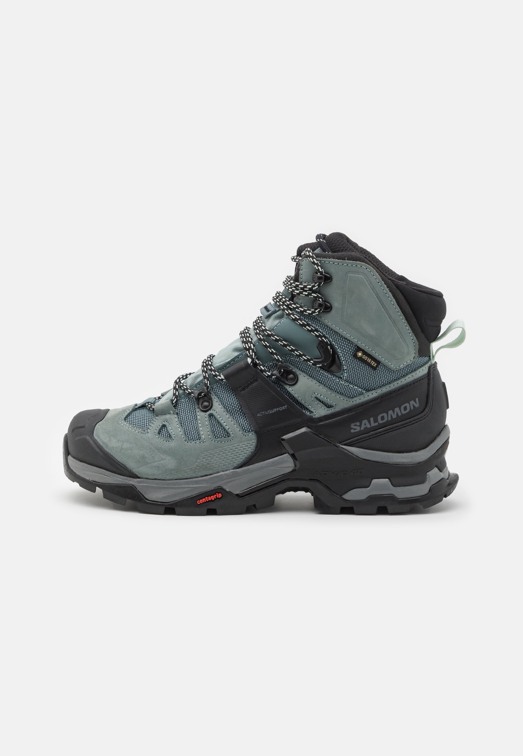 QUEST 4 GTX - Hiking shoes