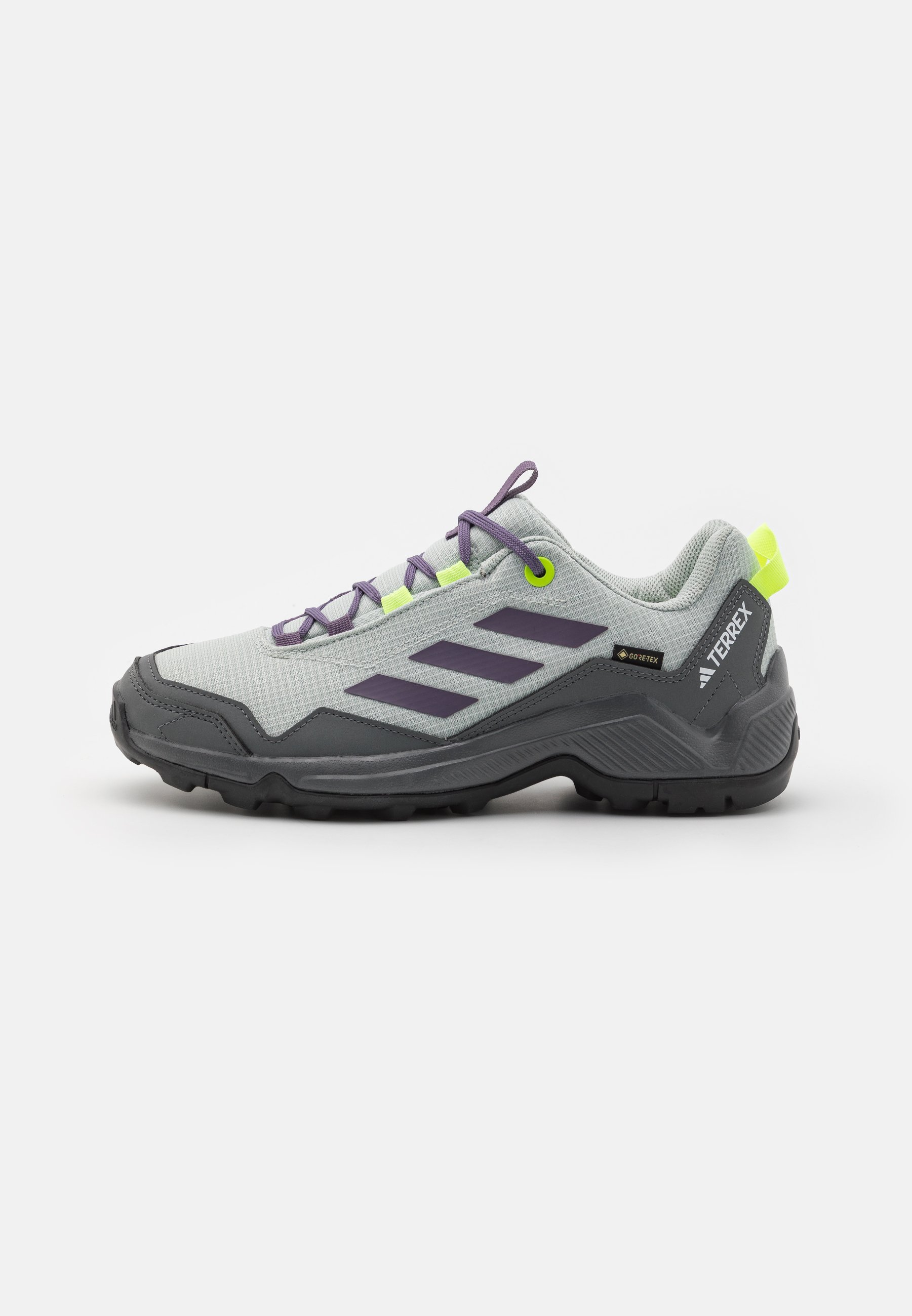 TERREX EASTRAIL GORE-TEX - Hiking shoes