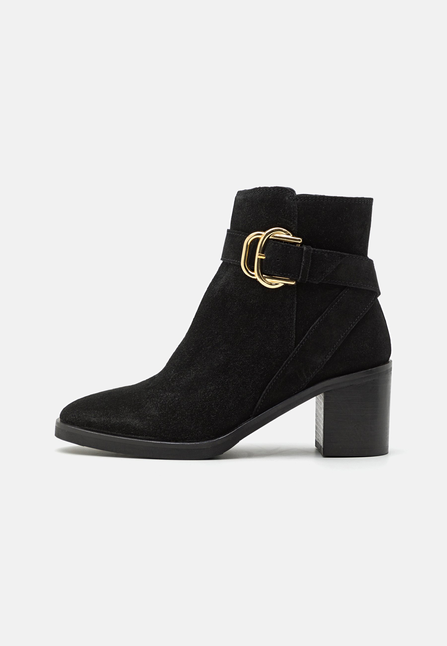 LEATHER - Classic ankle boots