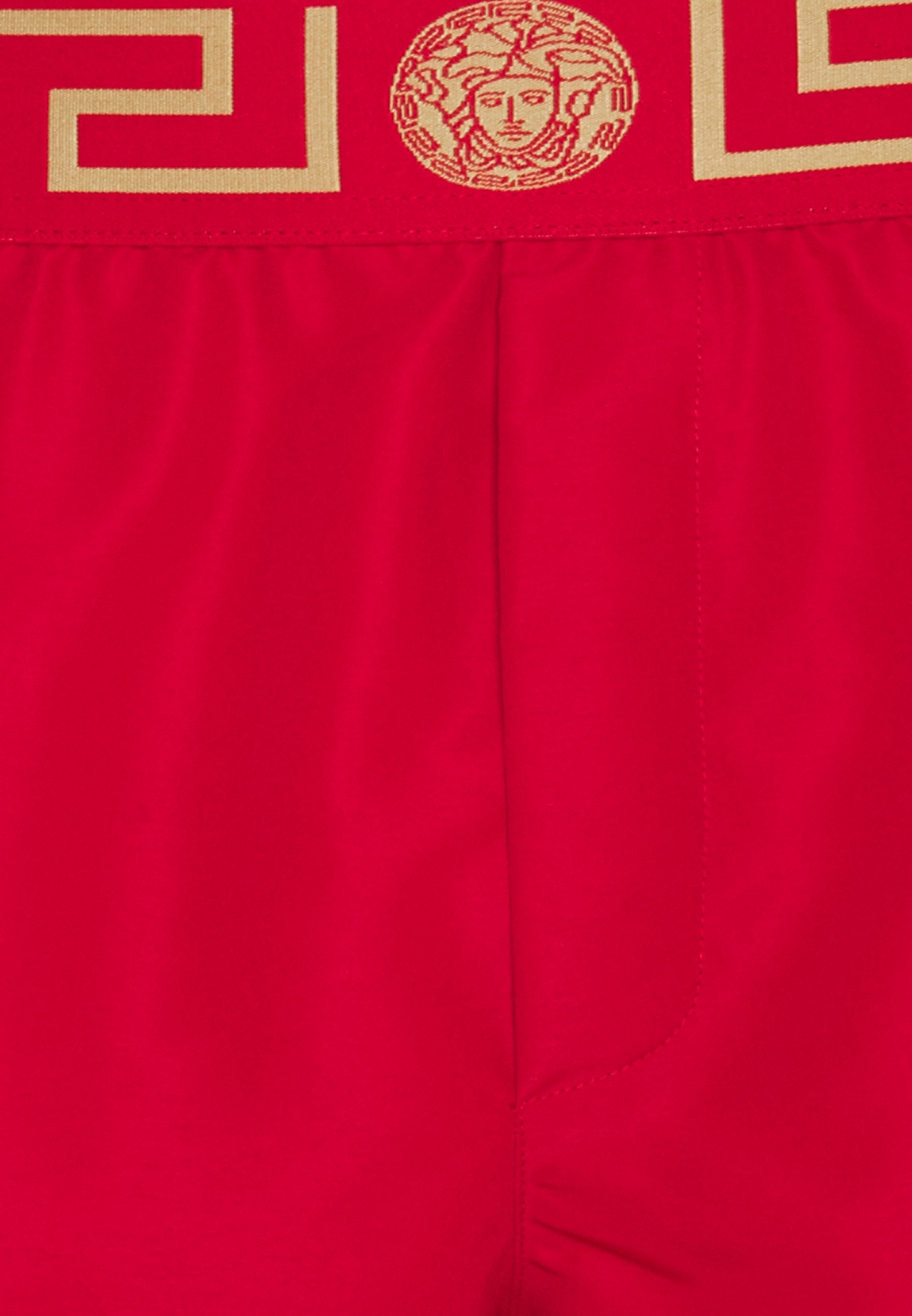 Swimming shorts