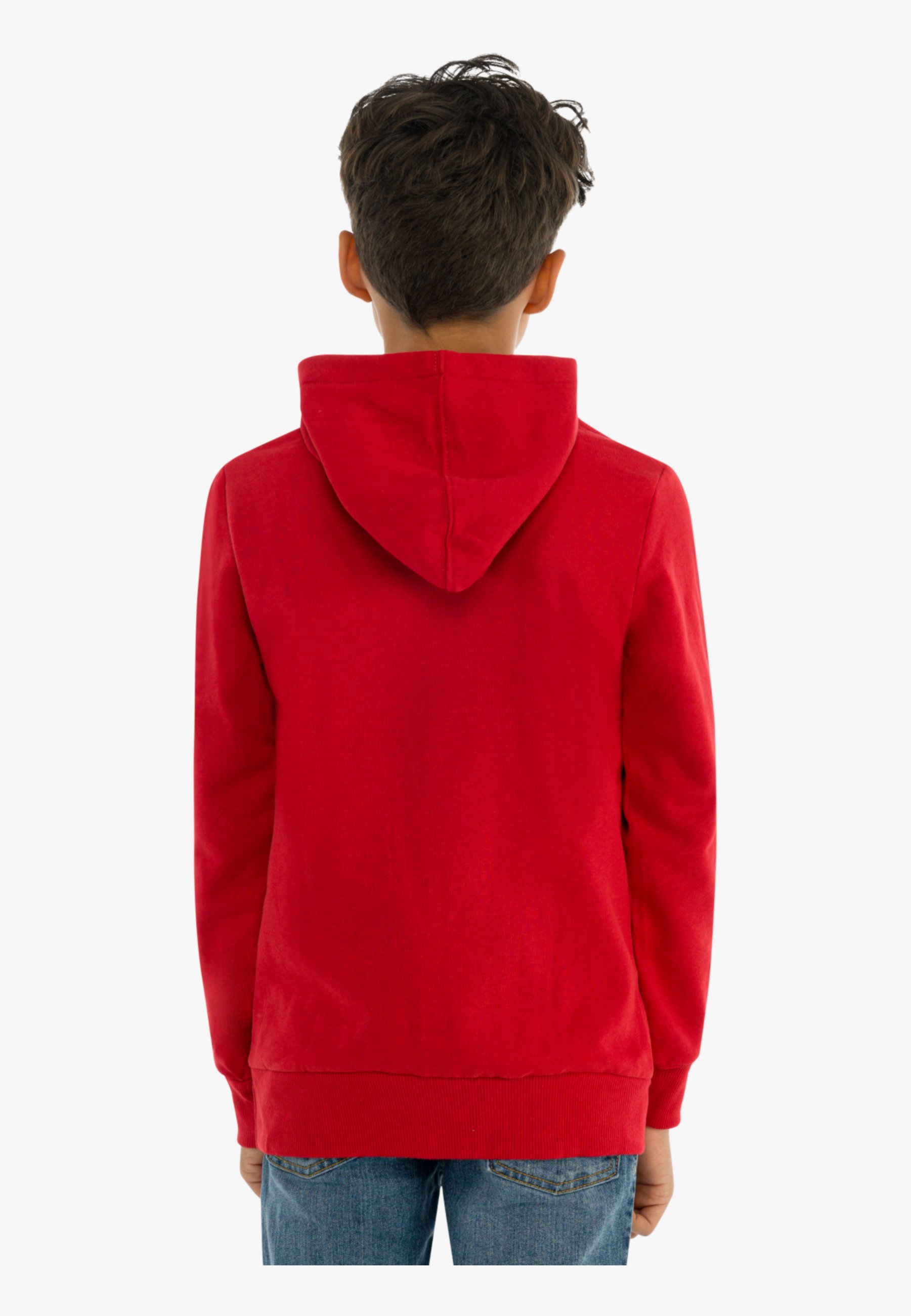 BATWING SCREENPRINT HOODIE - Hoodie