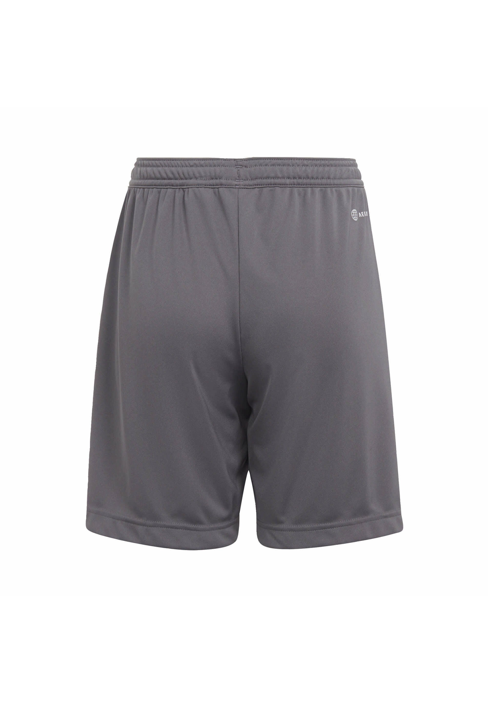 ENTRADA 22 - Sports shorts