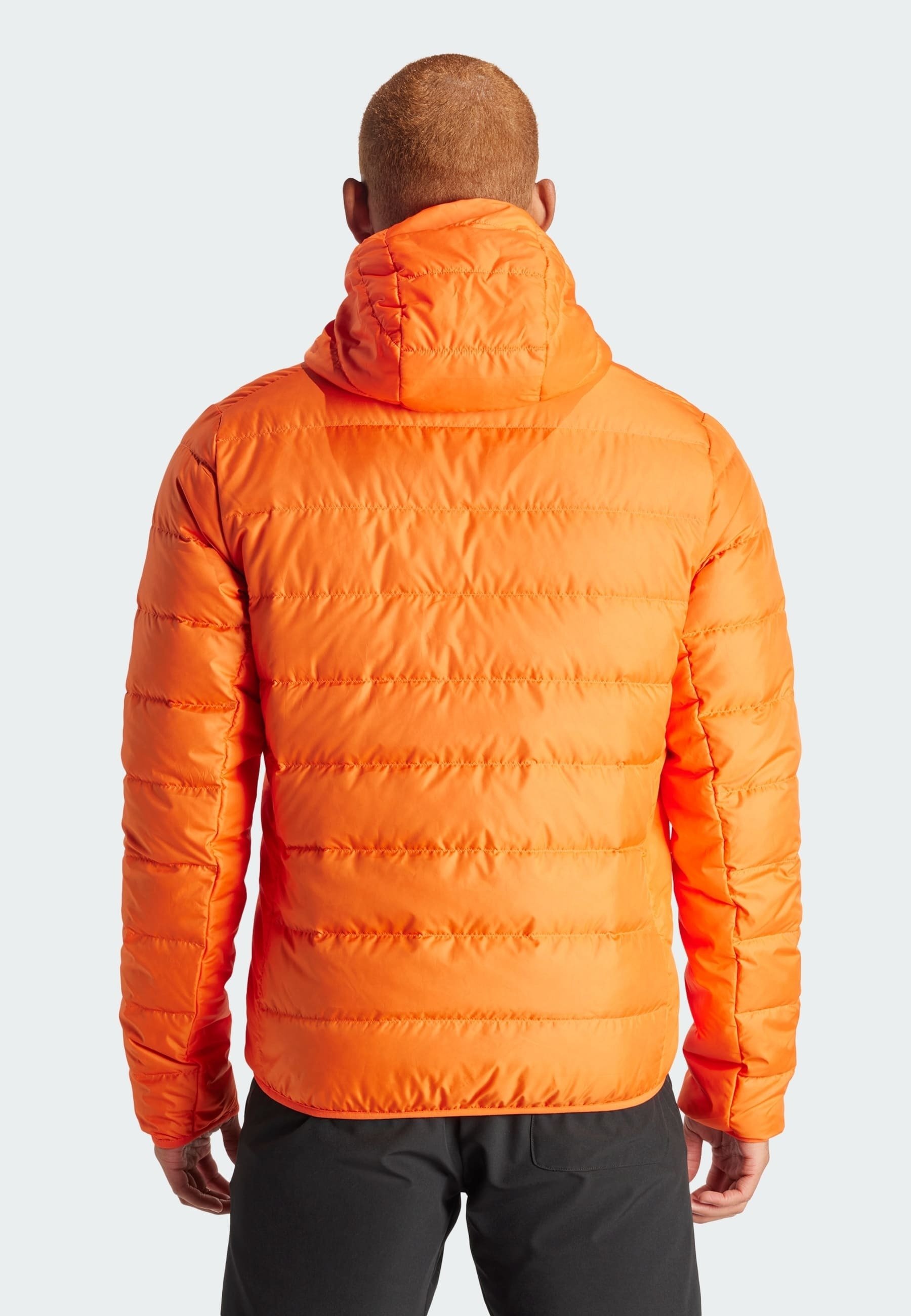 TERREX MULTI - Down jacket