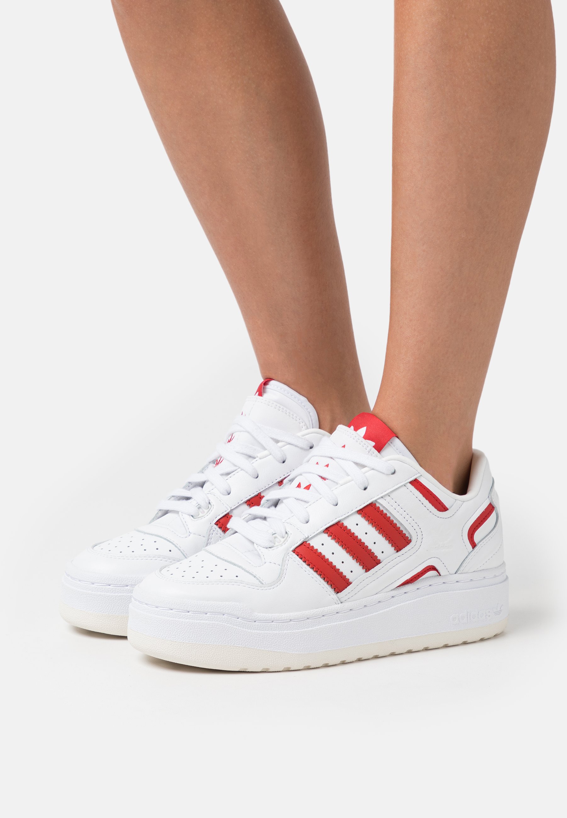 FORUM XLG - Trainers