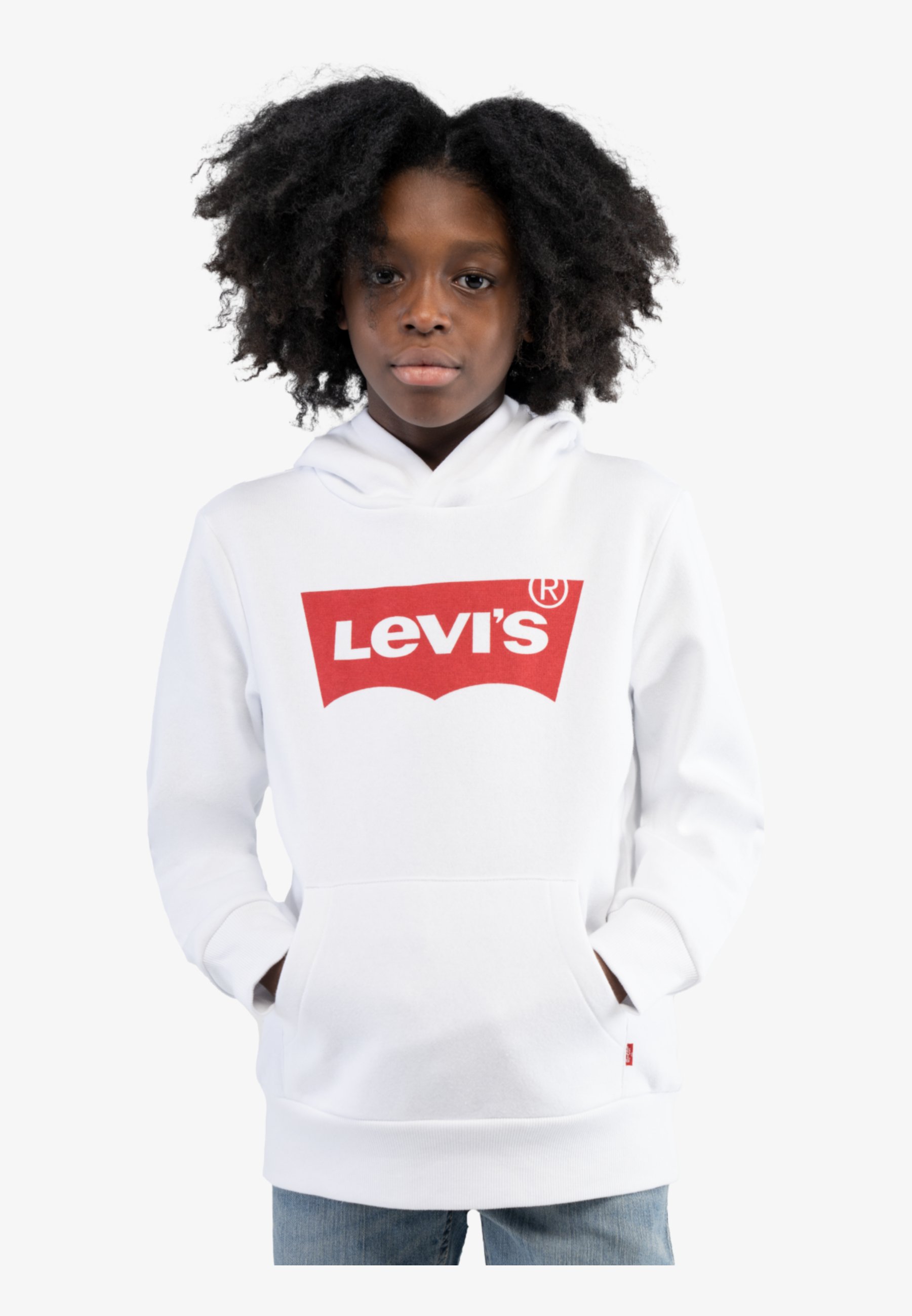 BATWING SCREENPRINT HOODIE - Hoodie