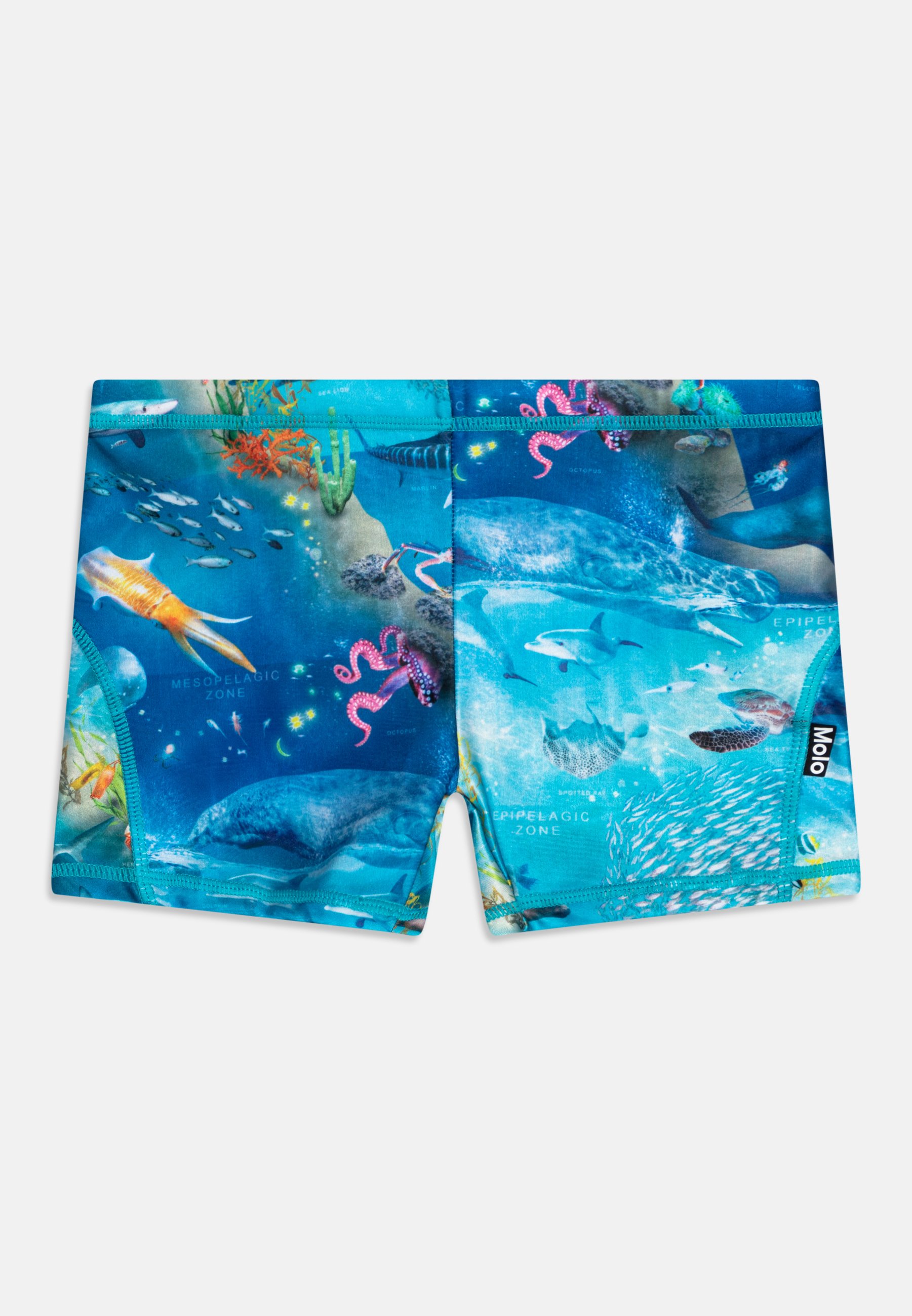 NORTON TRUNKS - Swimming trunks
