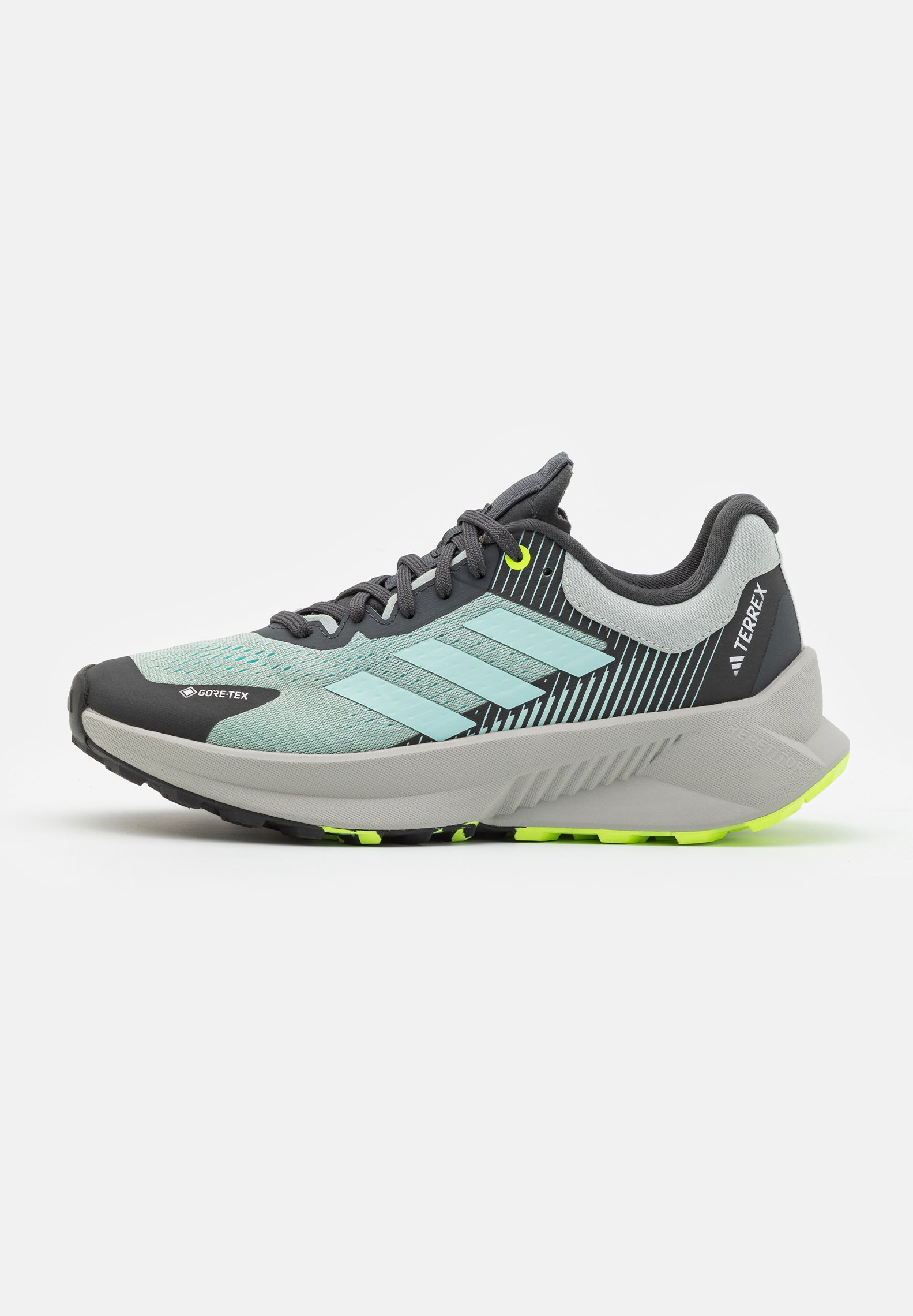 TERREX SOULSTRIDE FLOW GTX - Hiking shoes