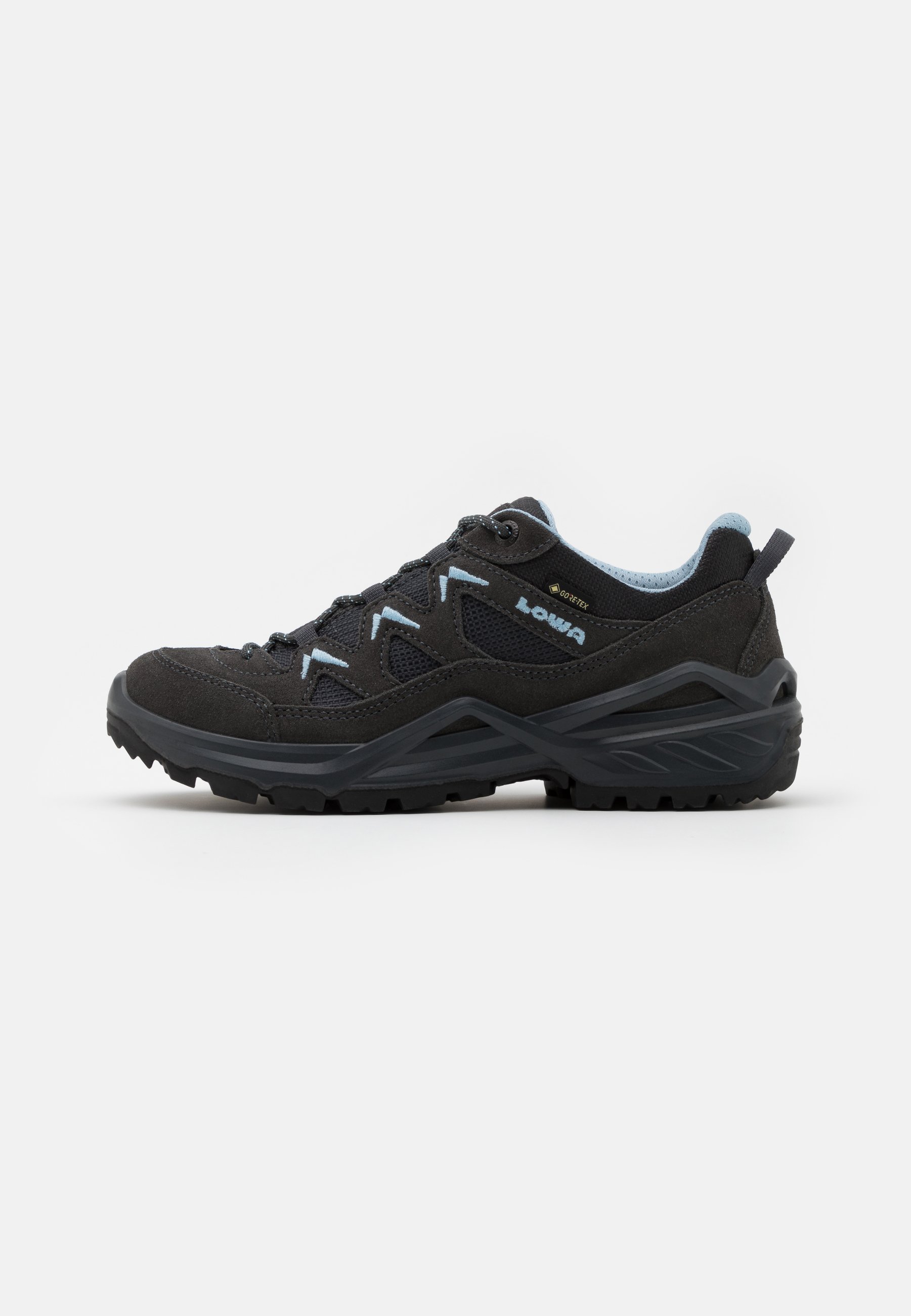 SIRKOS EVO GTX - Hiking shoes