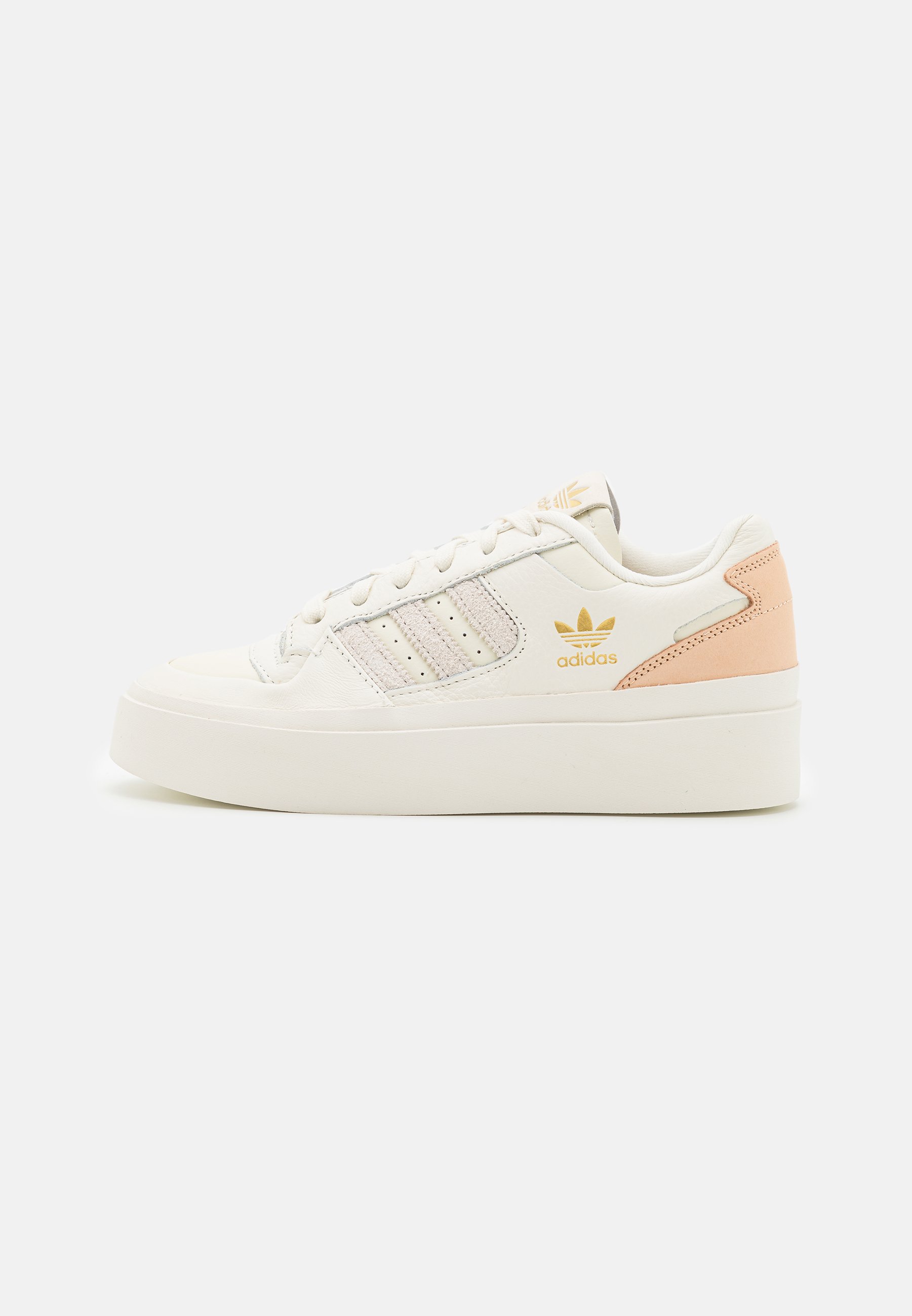 FORUM BONEGA - Trainers