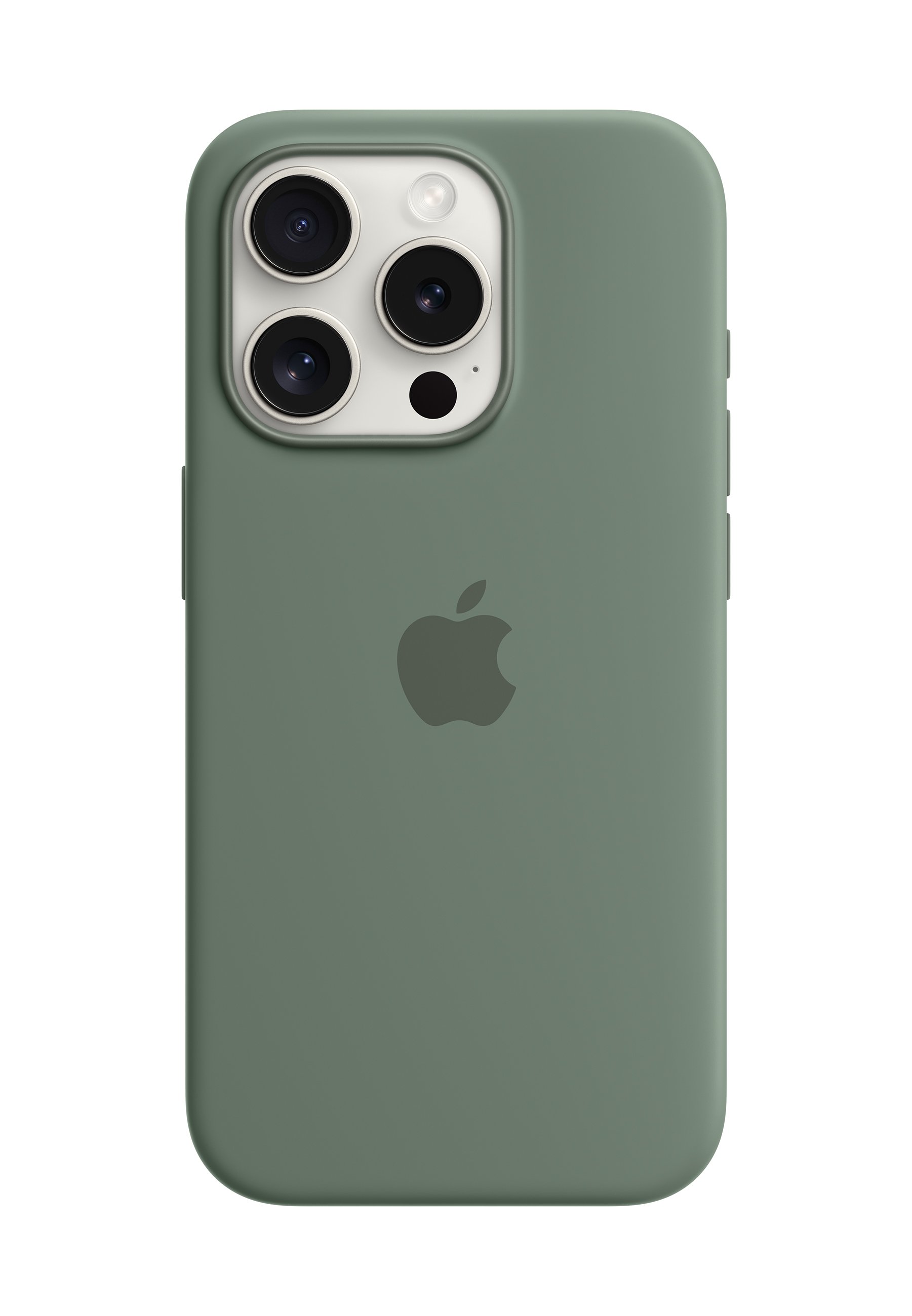 IPHONE 15 SILICONE CASE WITH MAGSAFE - Phone case