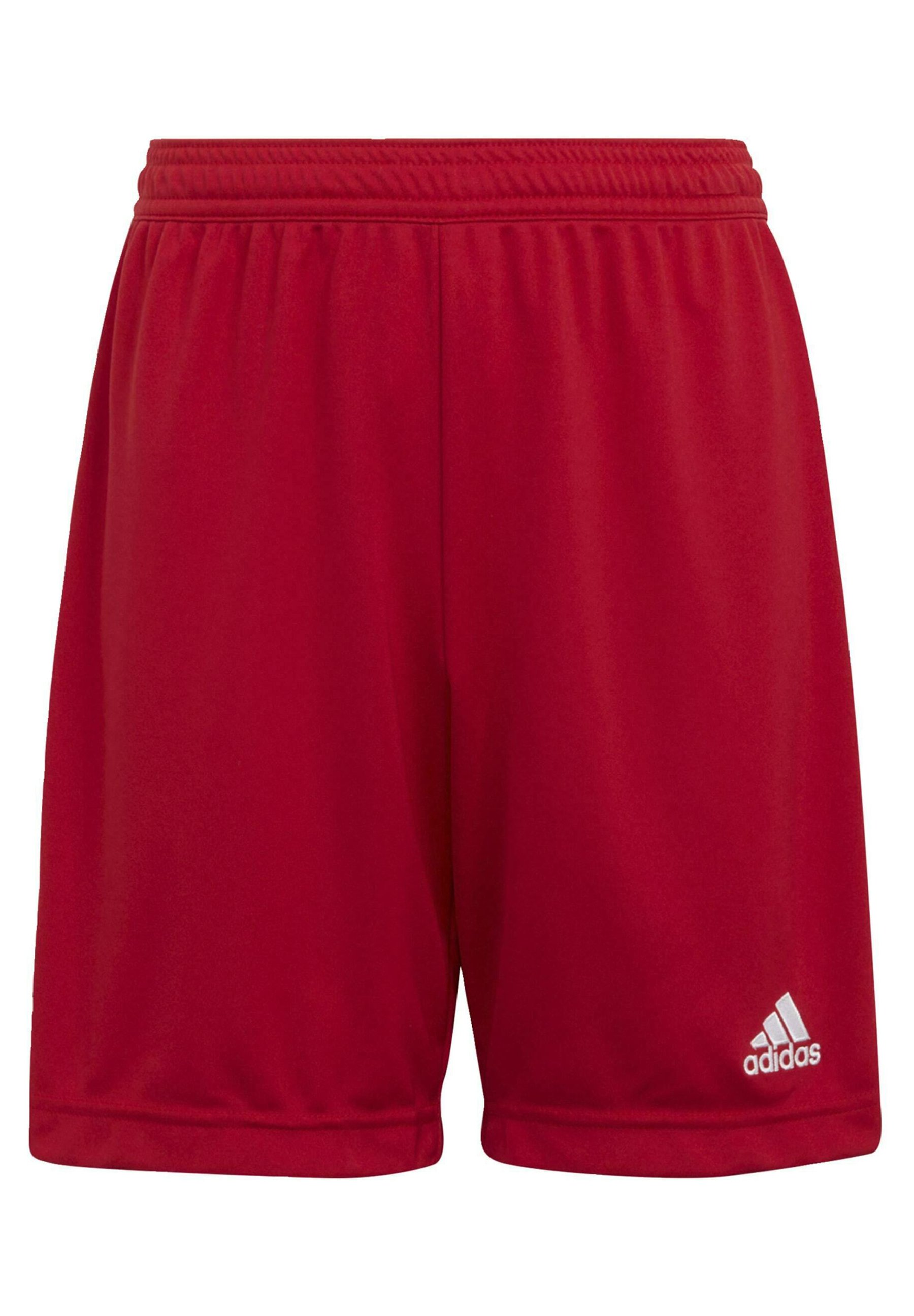 ENTRADA 22 - Sports shorts