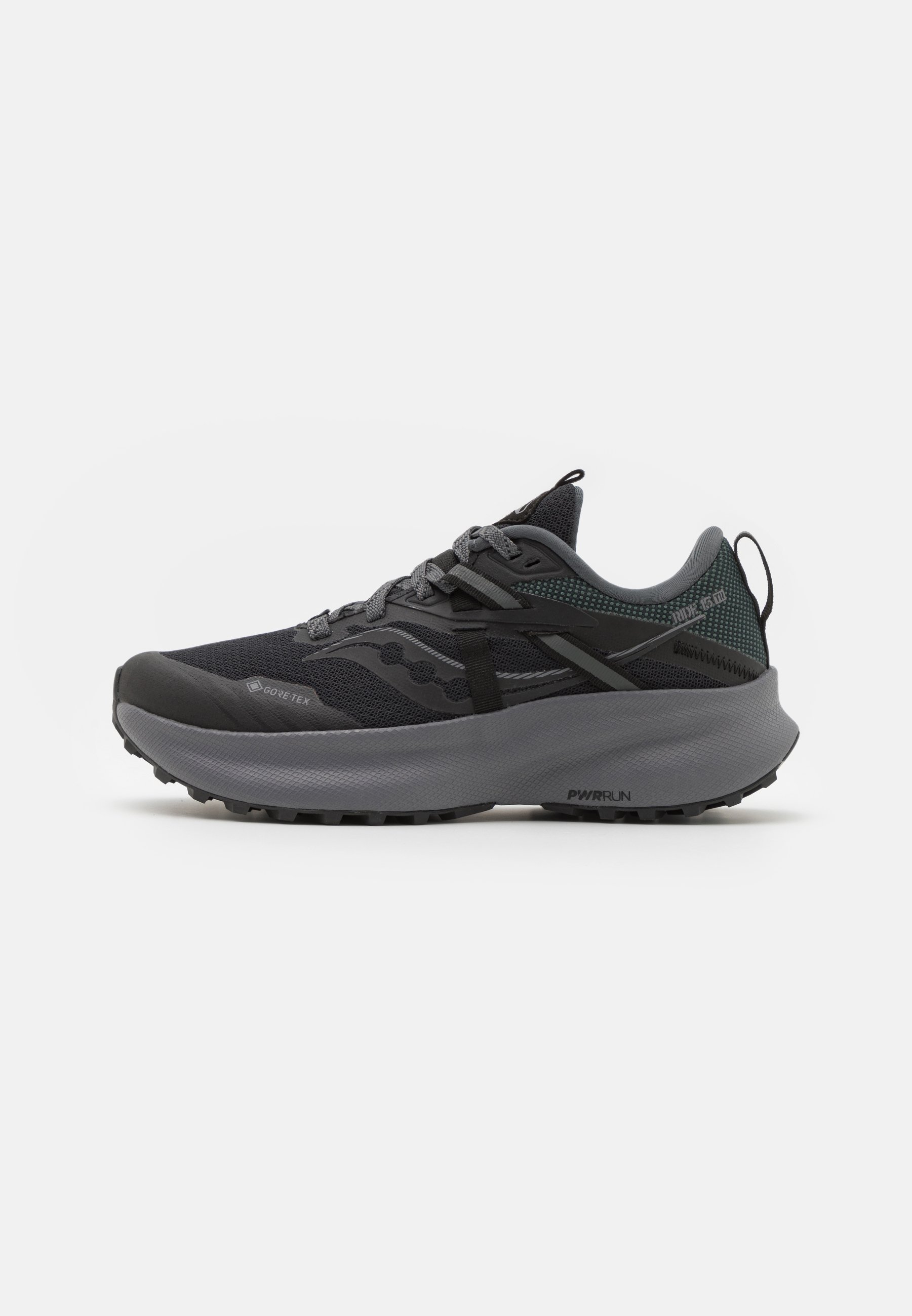 RIDE 15 TR GTX - Trail running shoes