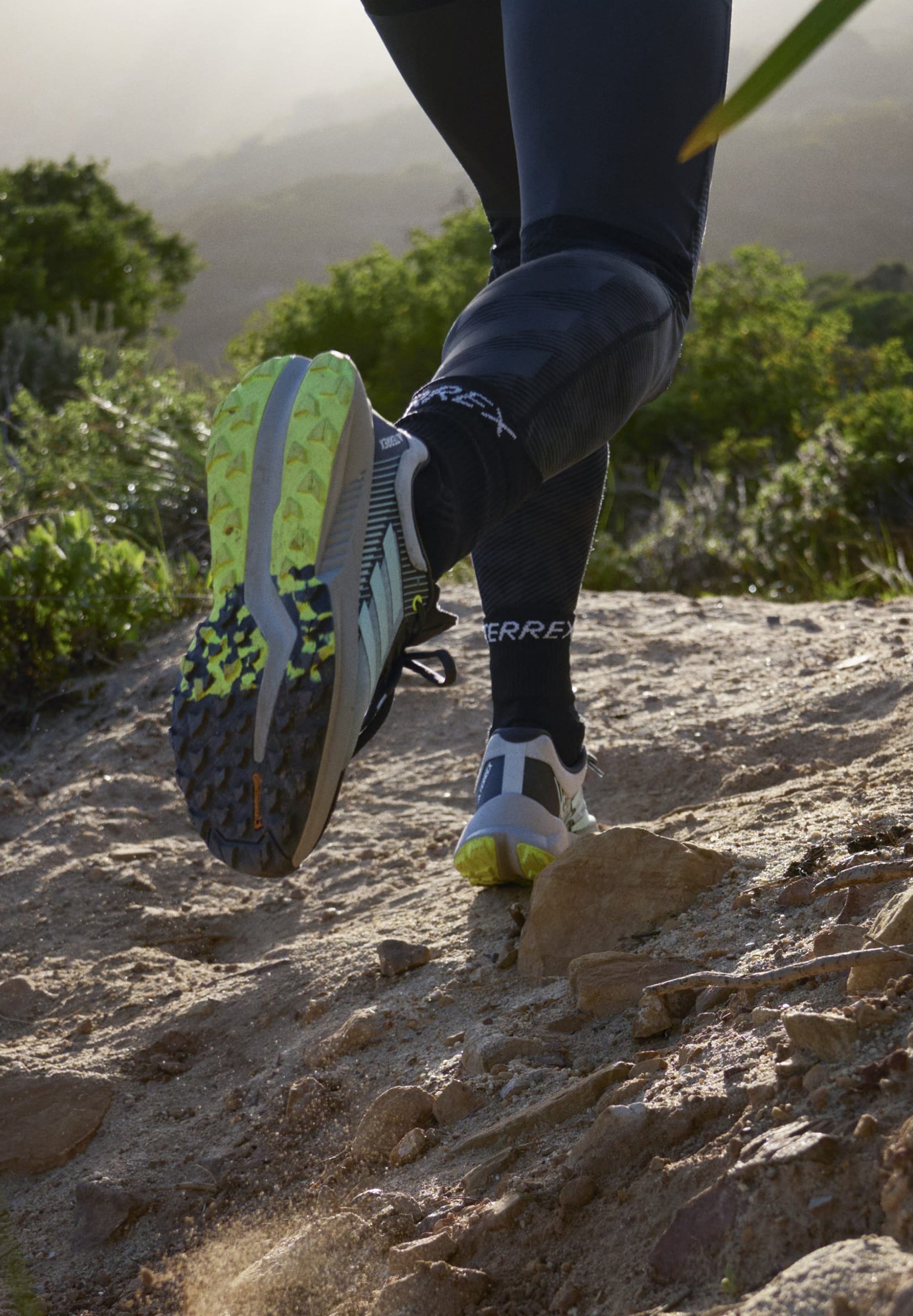 TERREX SOULSTRIDE FLOW GTX - Hiking shoes