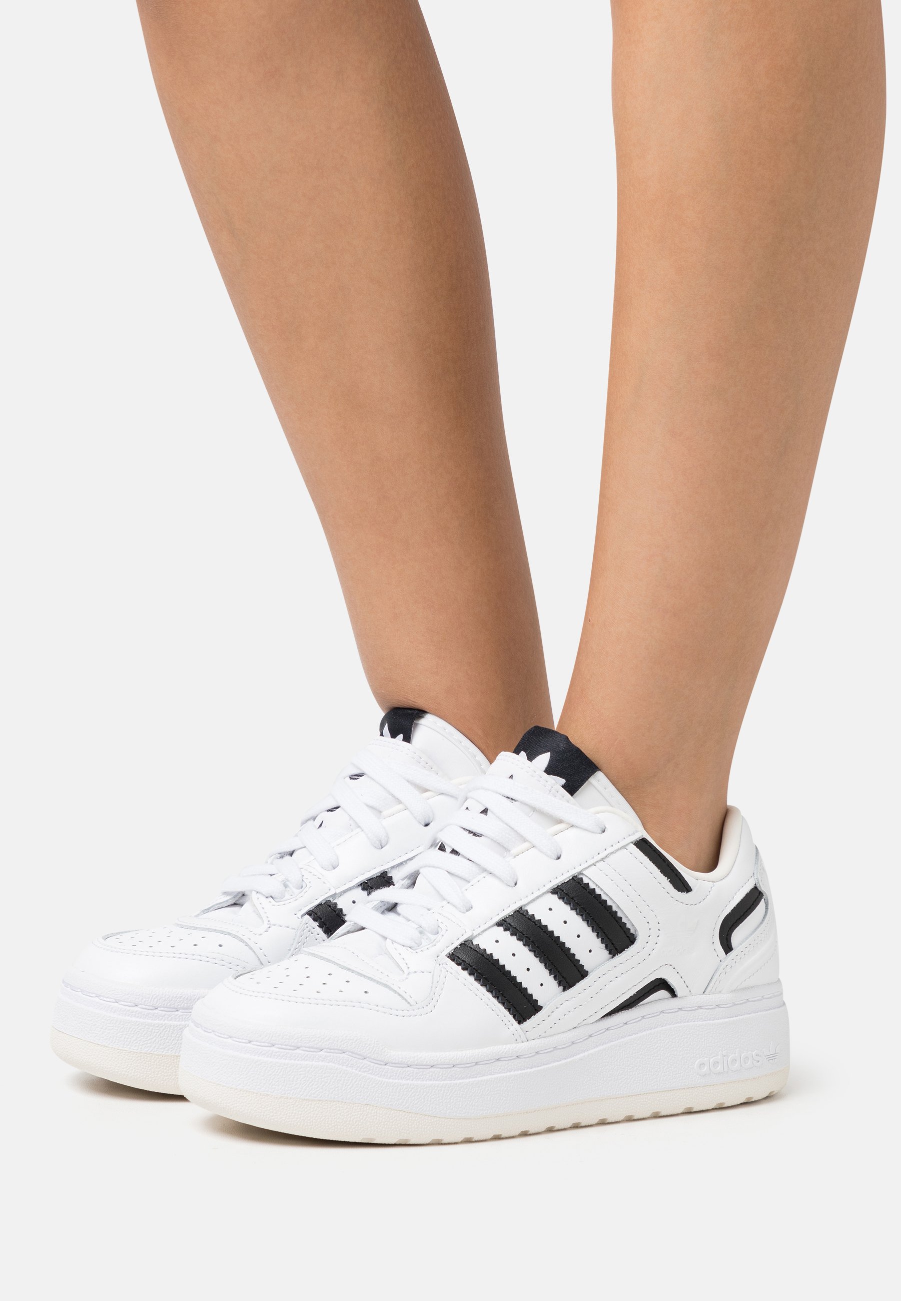 FORUM XLG - Trainers