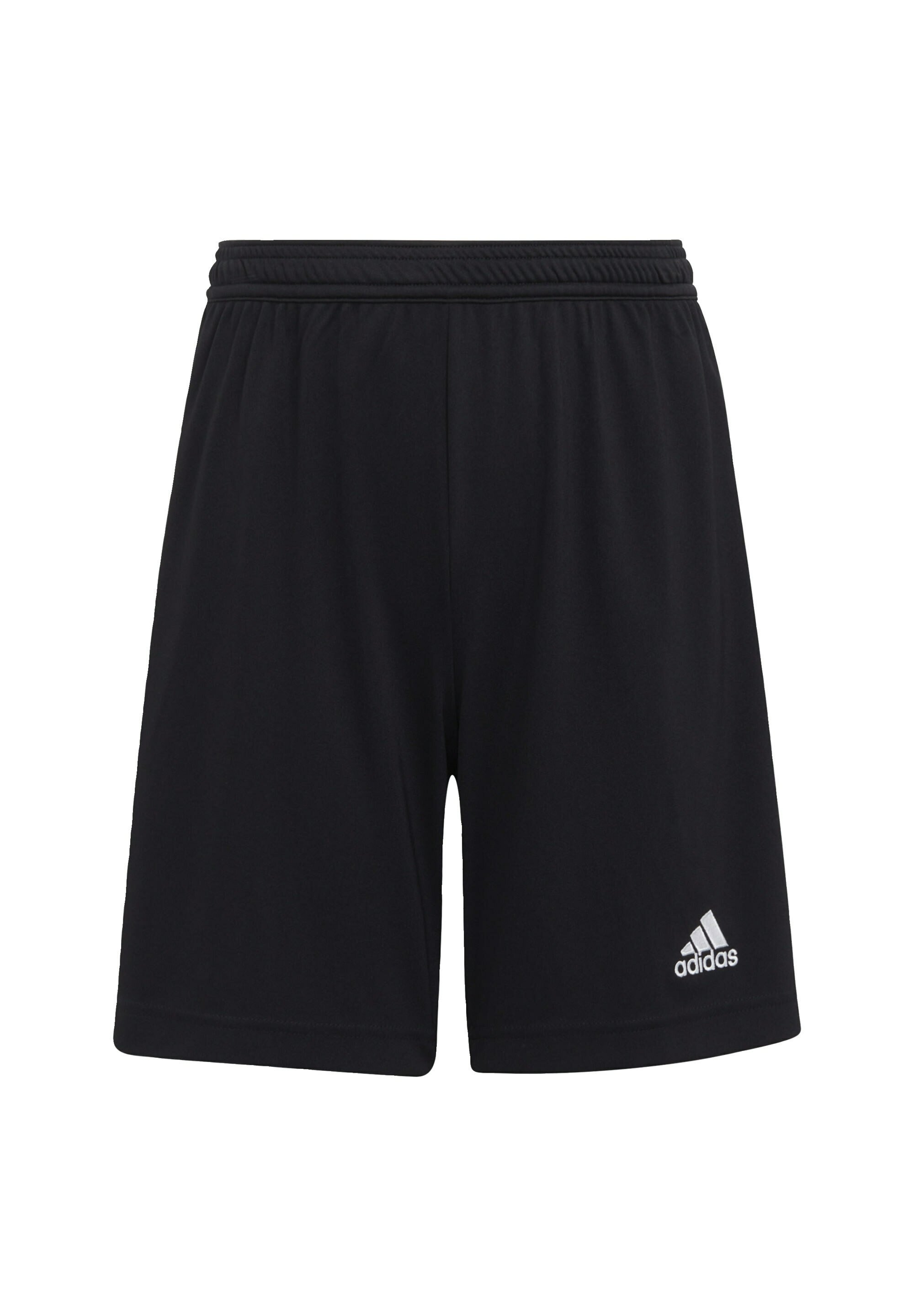 ENTRADA 22 - Sports shorts