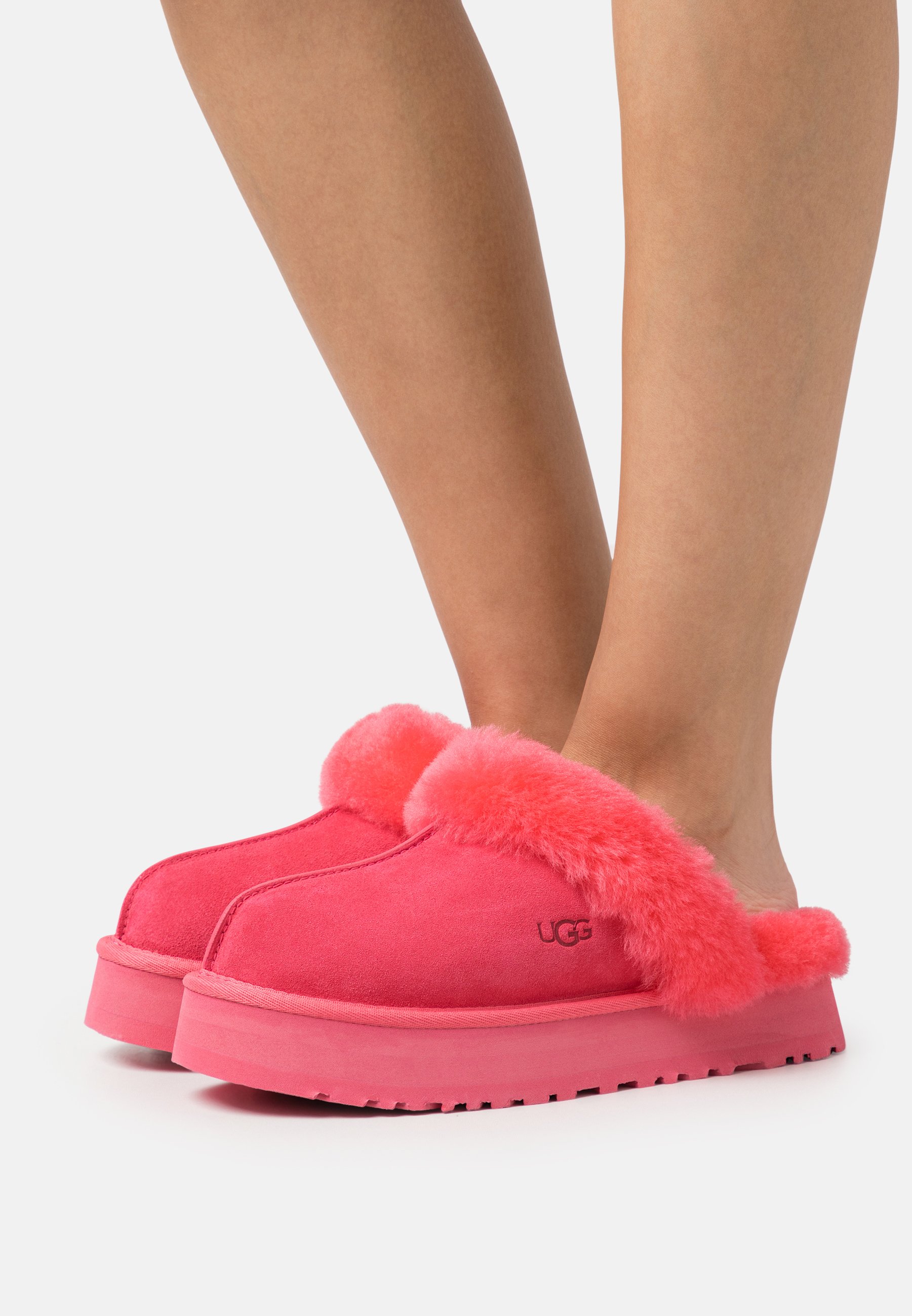 DISQUETTE - Slippers