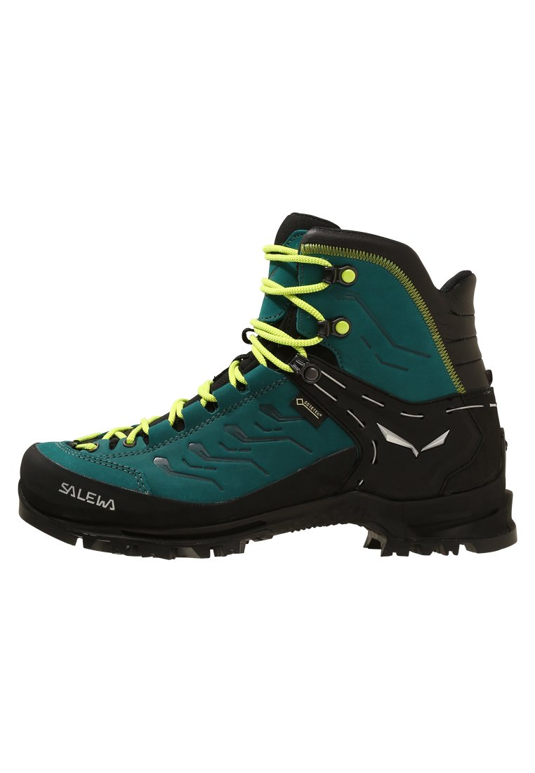 RAPACE GTX - Mountain shoes