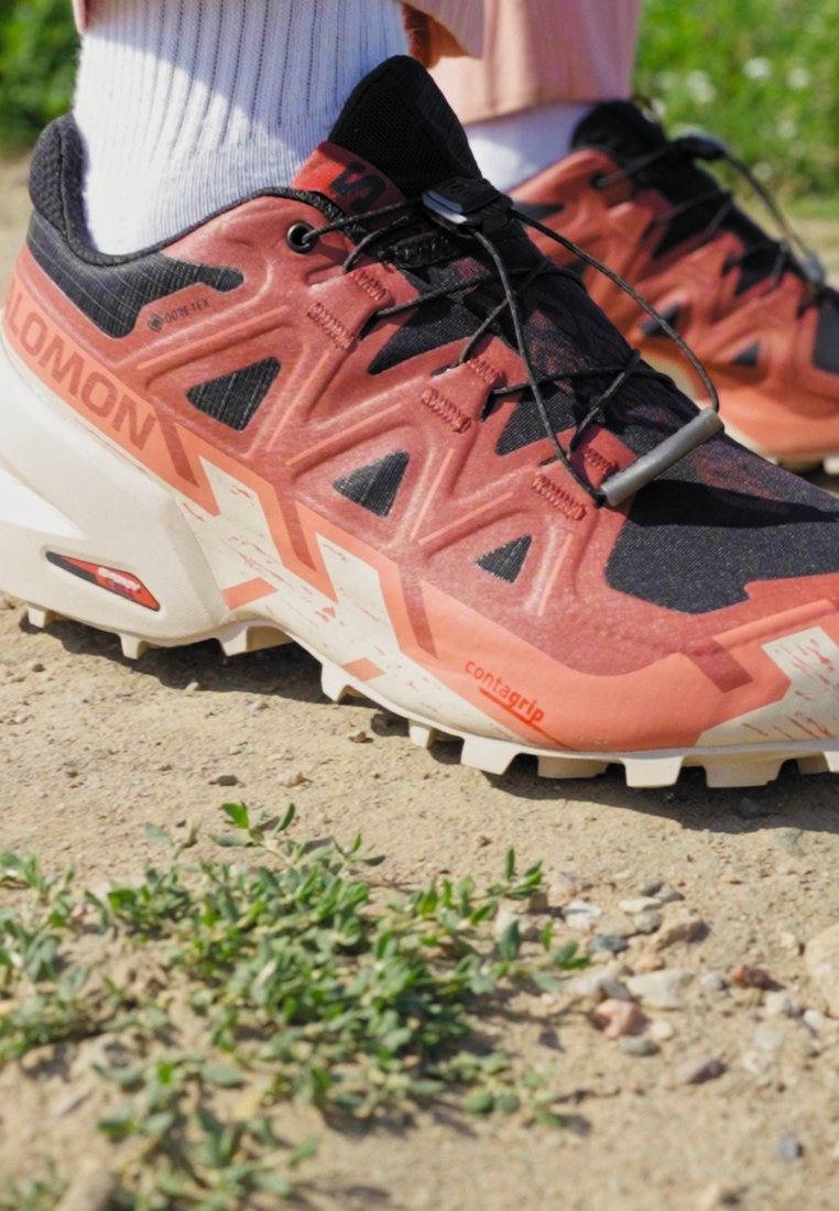 SPEEDCROSS 6 GTX - Hiking shoes