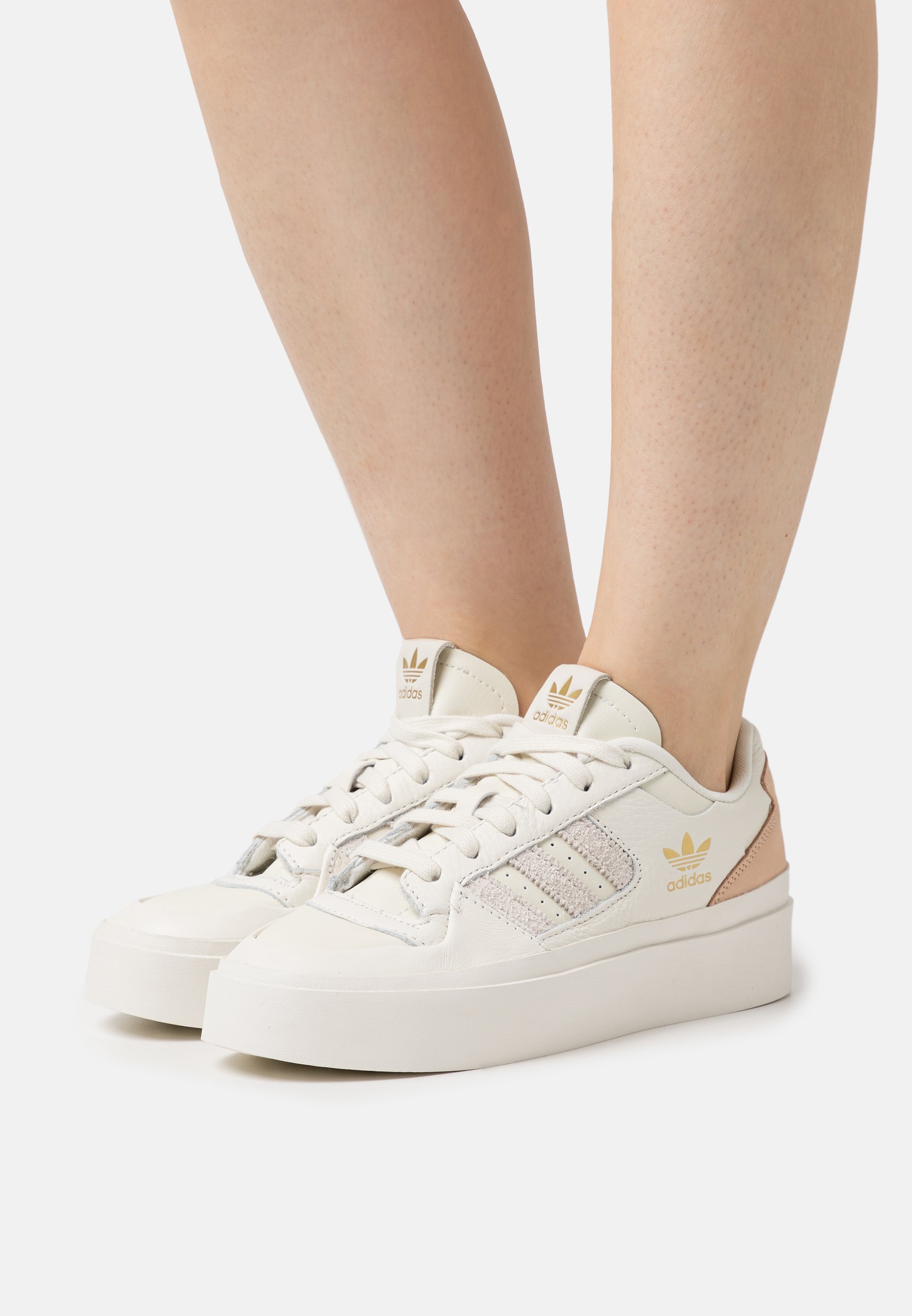 FORUM BONEGA - Trainers