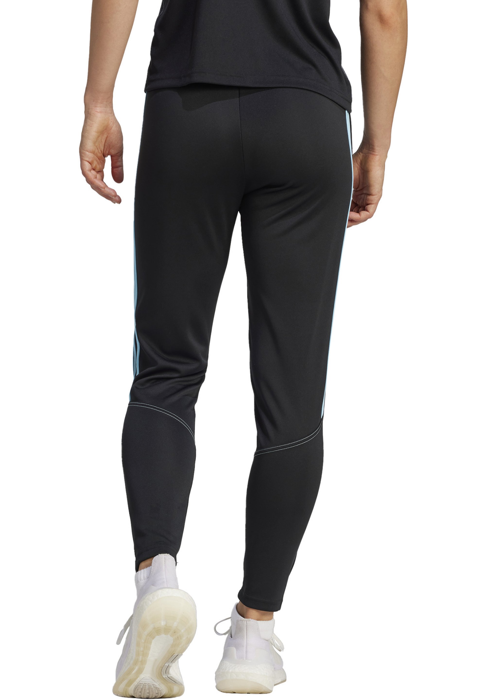 TIRO 23 CLUB TRAINING - Tracksuit bottoms