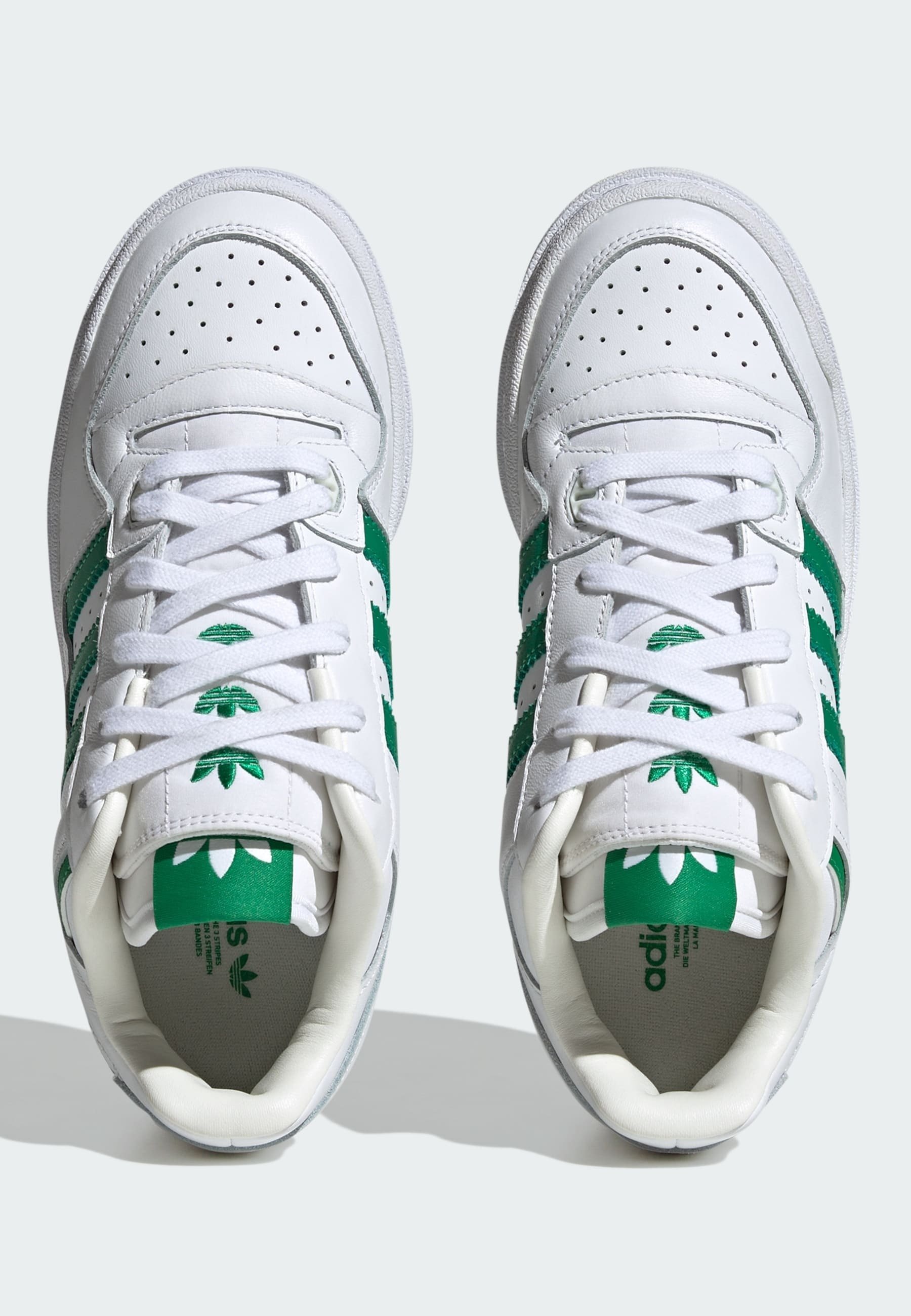 FORUM XLG - Trainers