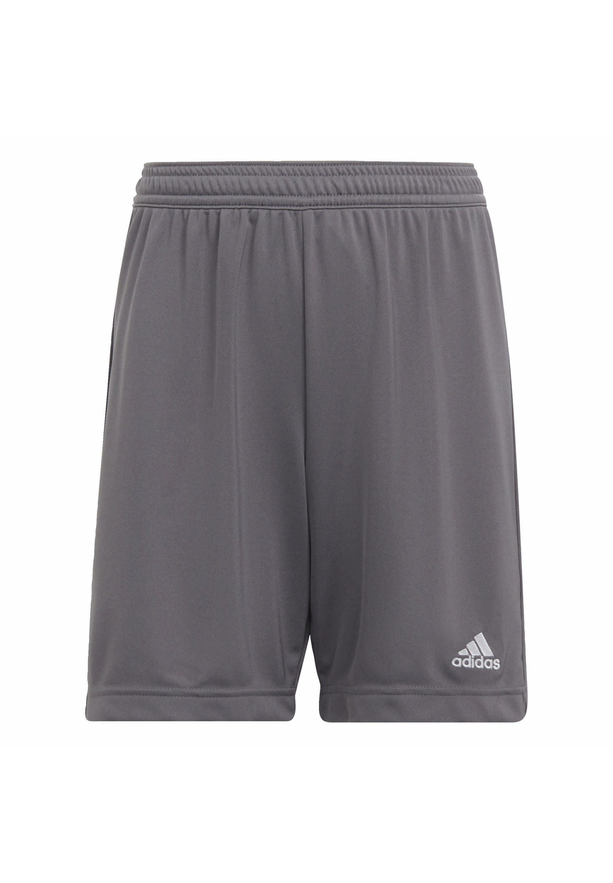 ENTRADA 22 - Sports shorts