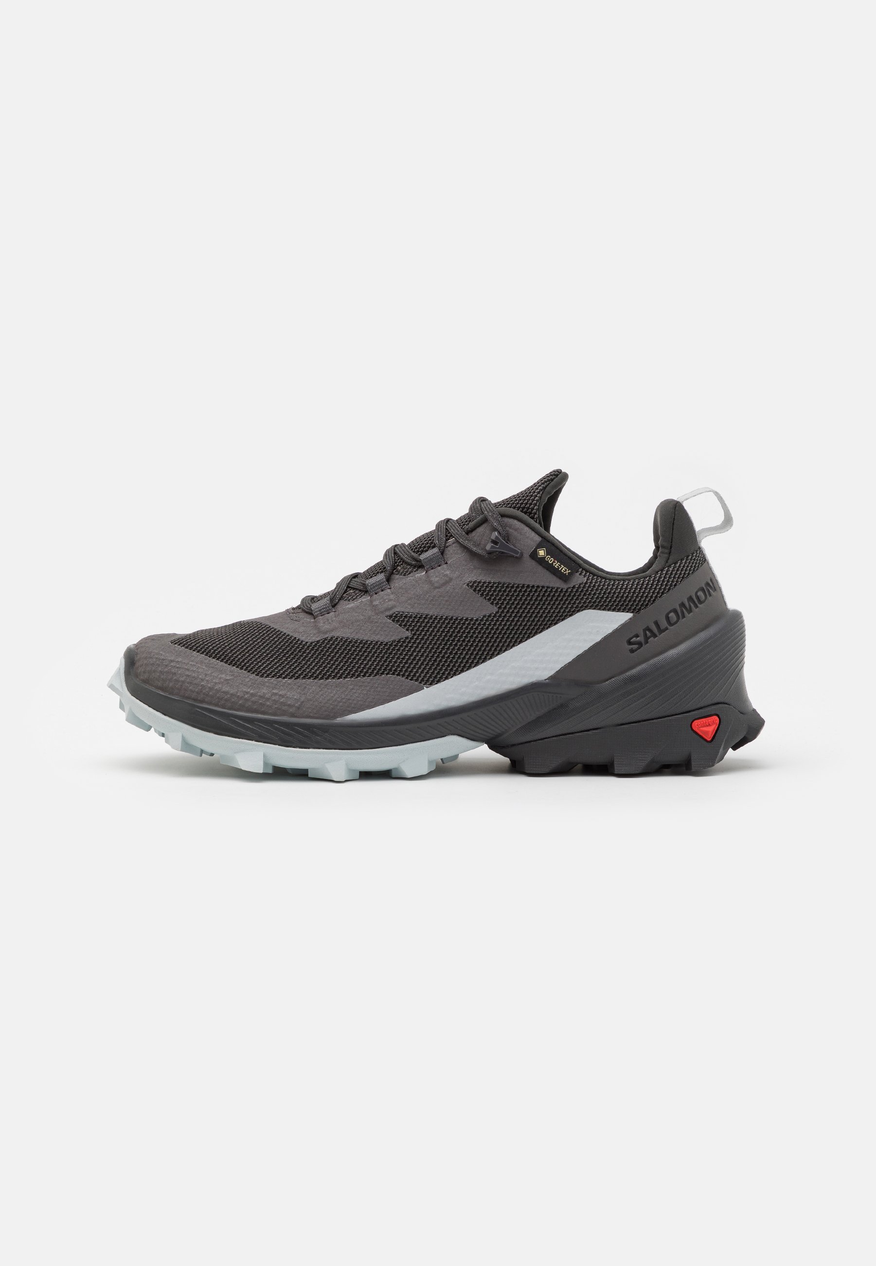 CROSS OVER 2 GTX - Hiking shoes