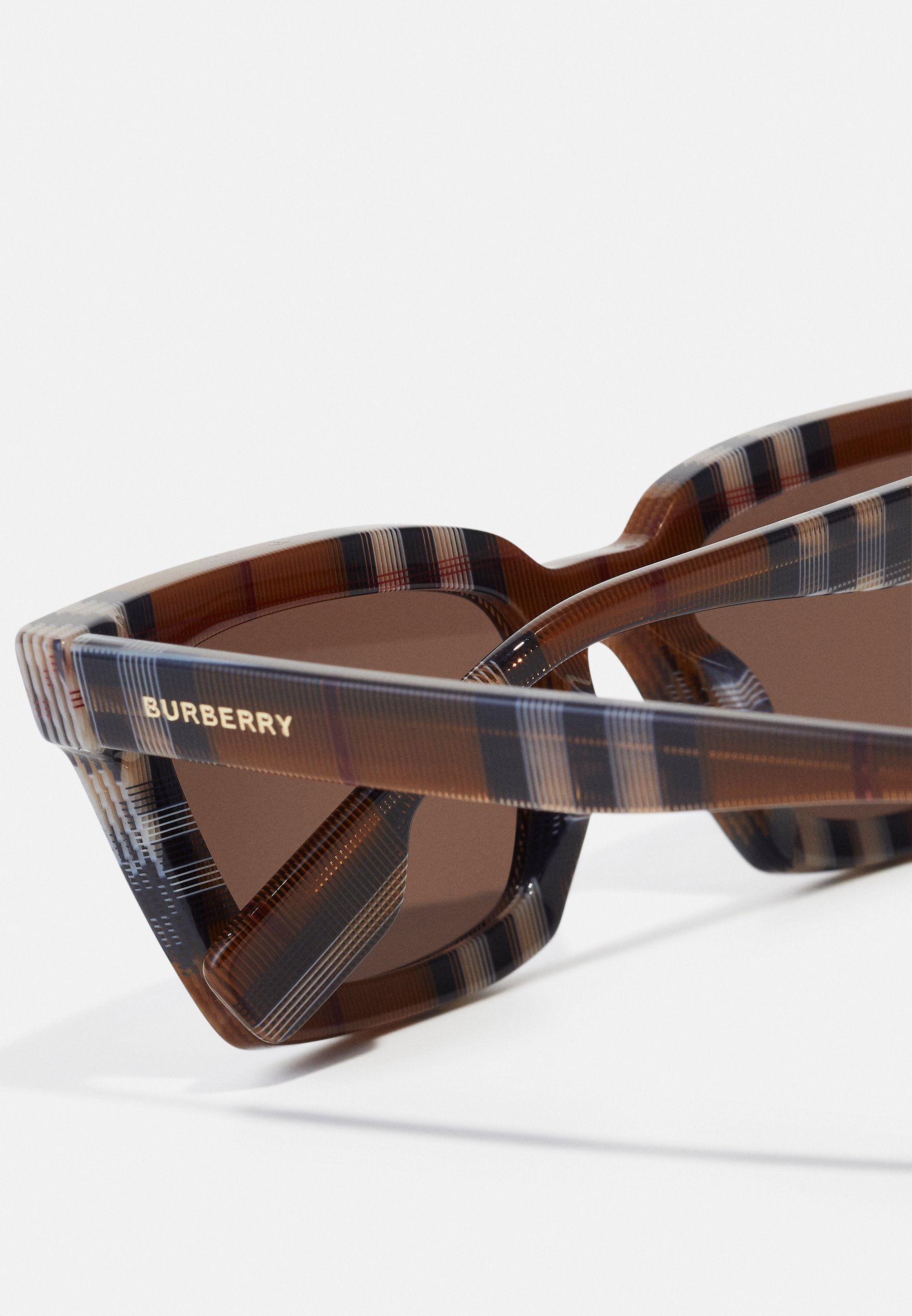 BRIAR - Sunglasses