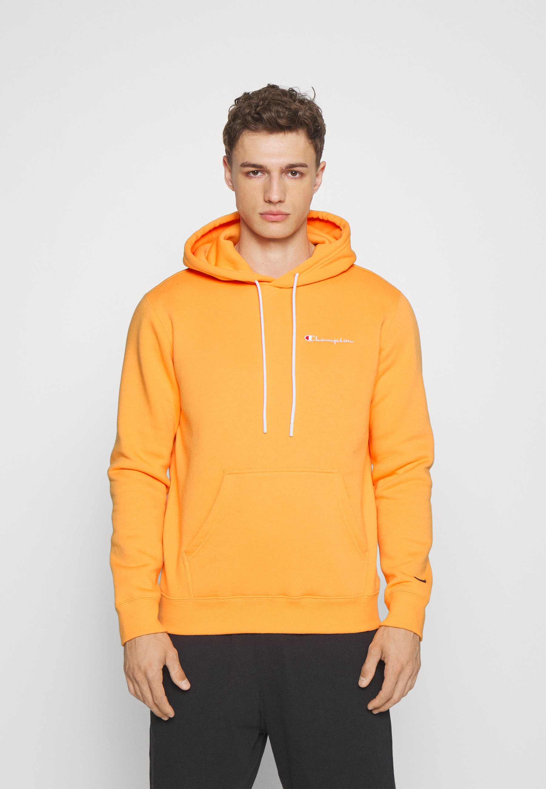 CLASSIC HOODED SMALL LOGO - Hoodie