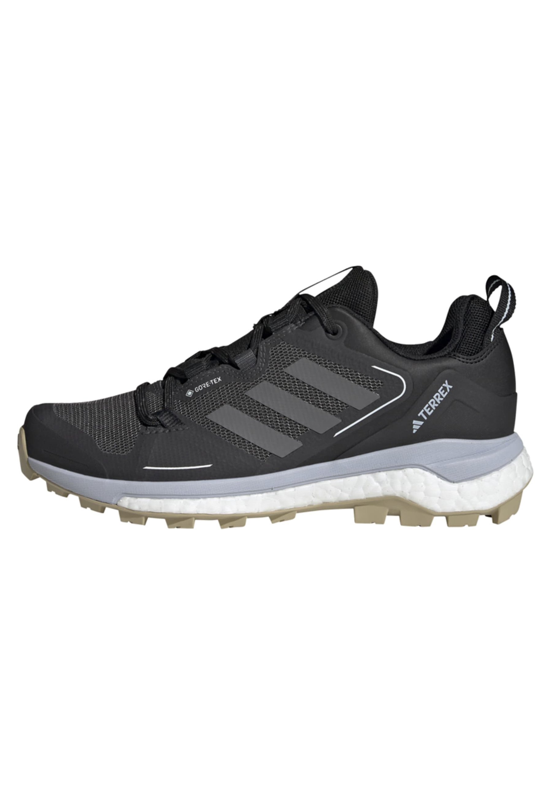 TERREX SKYCHASER 2 GTX W - Hiking shoes