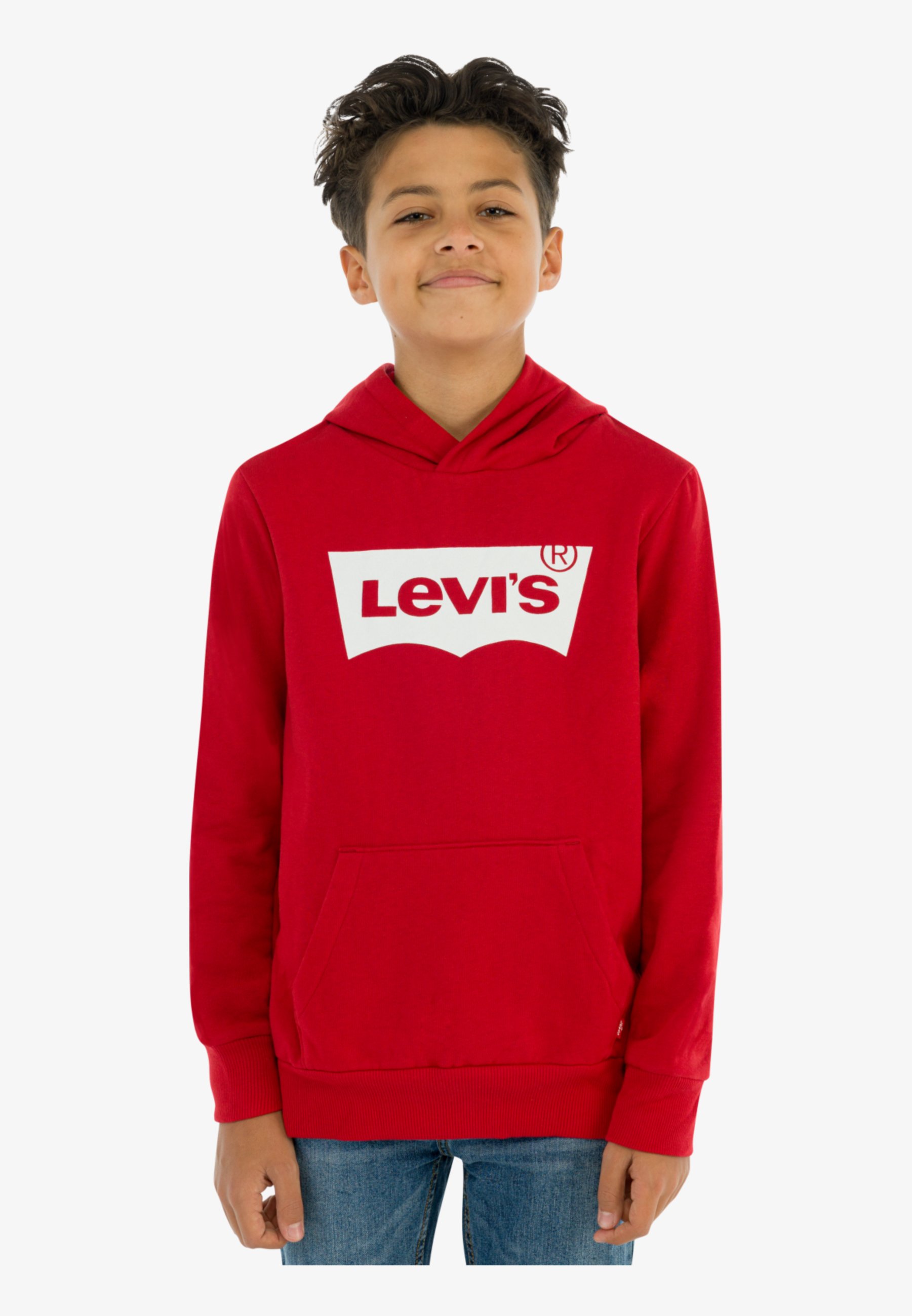 BATWING SCREENPRINT HOODIE - Hoodie