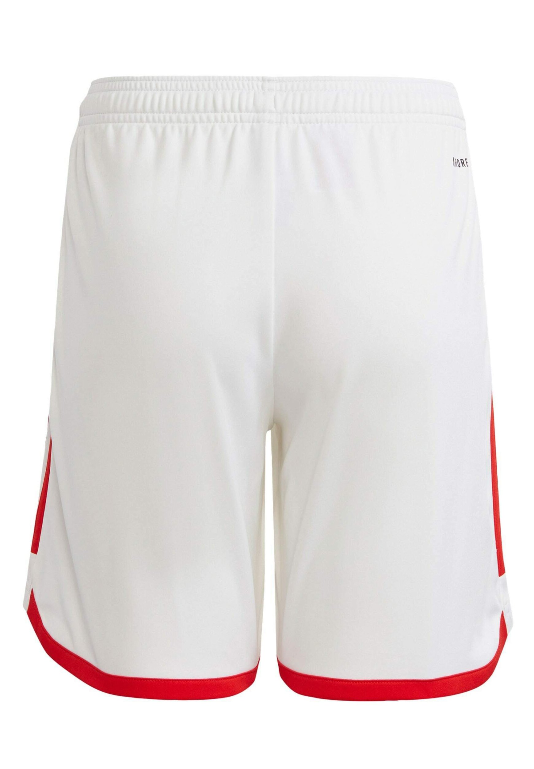 FC UNION BERLIN 23/24 HOME - Club wear