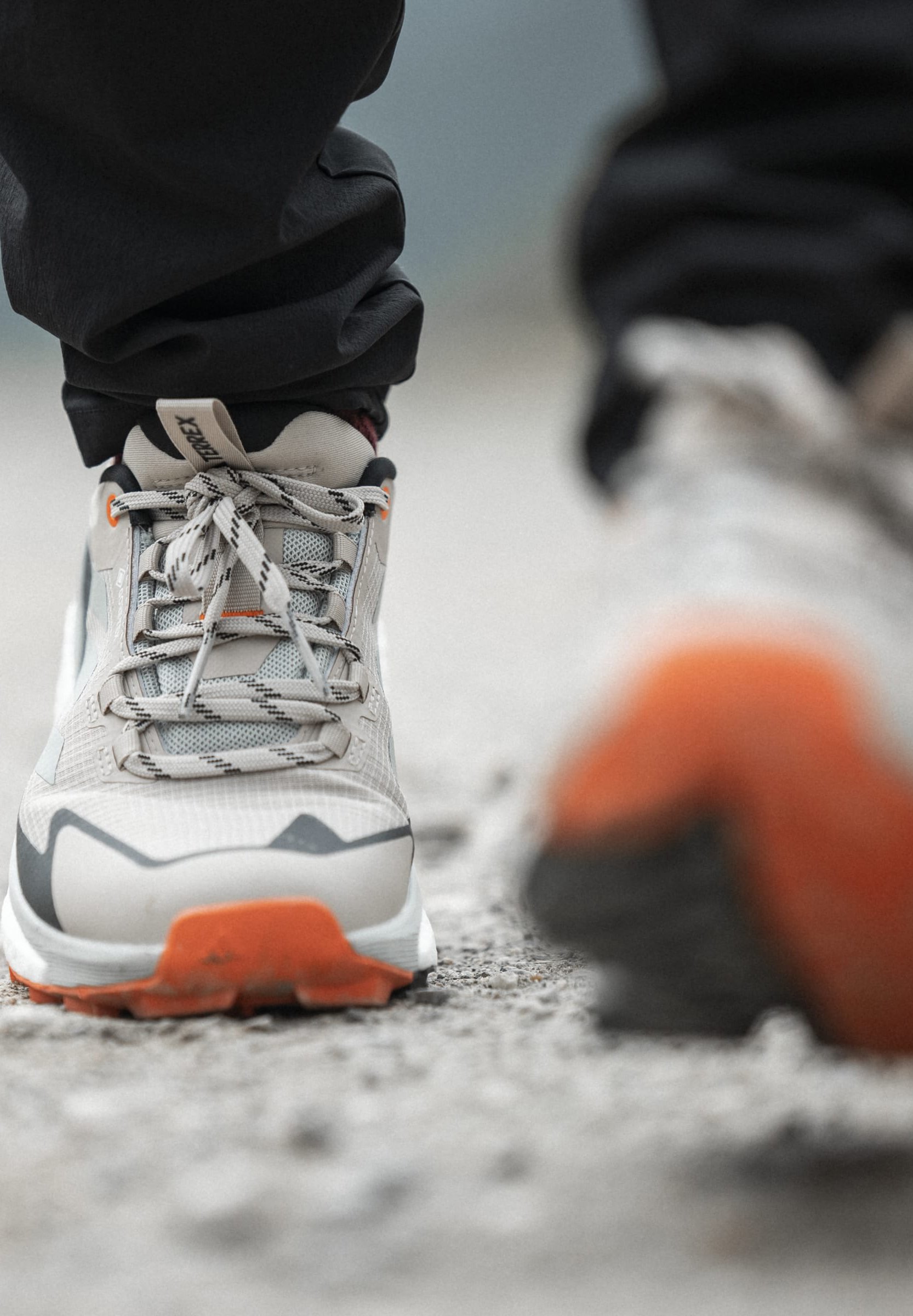 TERREX FREE HIKER 2.0 LOW GORE-TEX - Hiking shoes