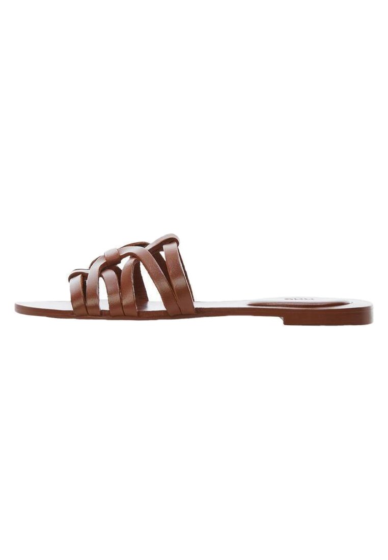 PISCA - Mules
