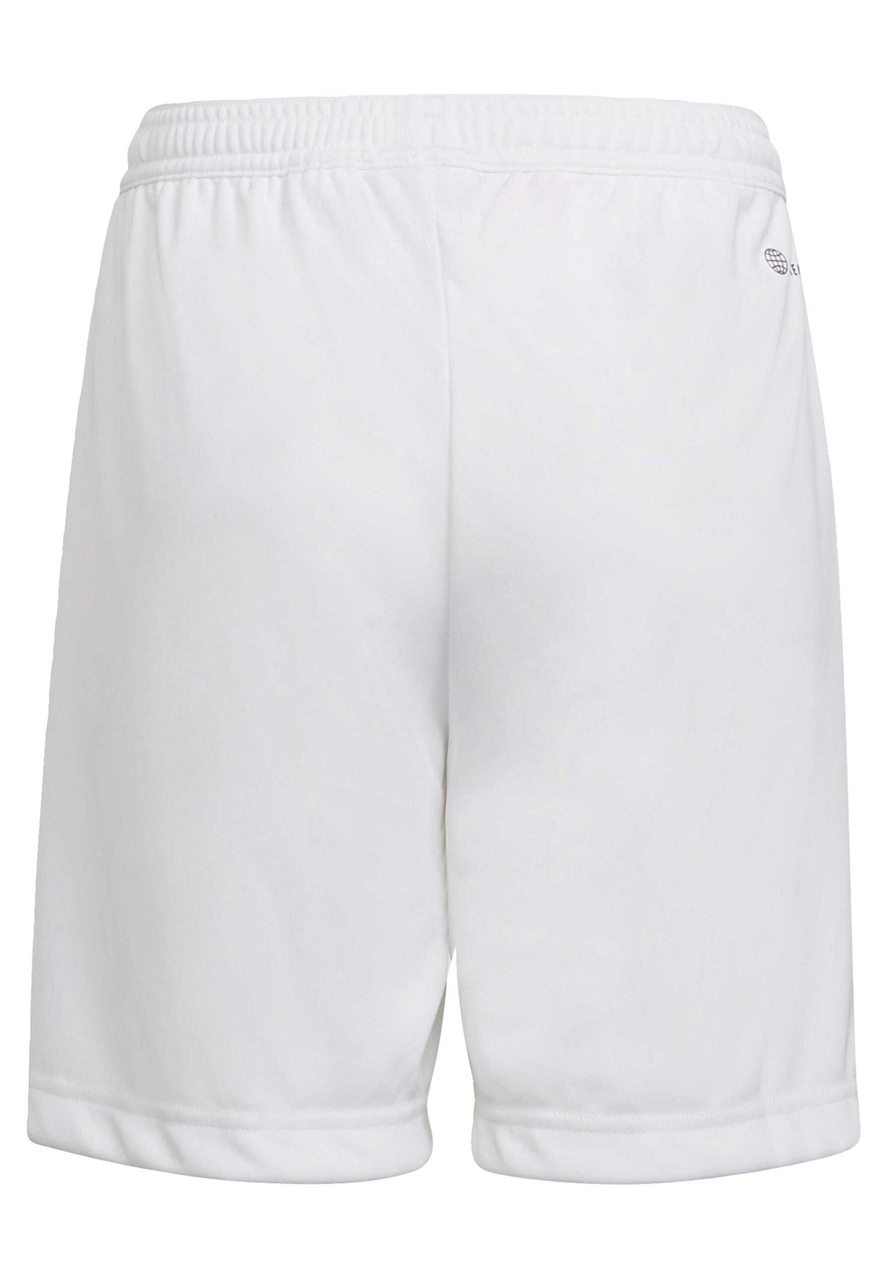 ENTRADA 22 - Sports shorts
